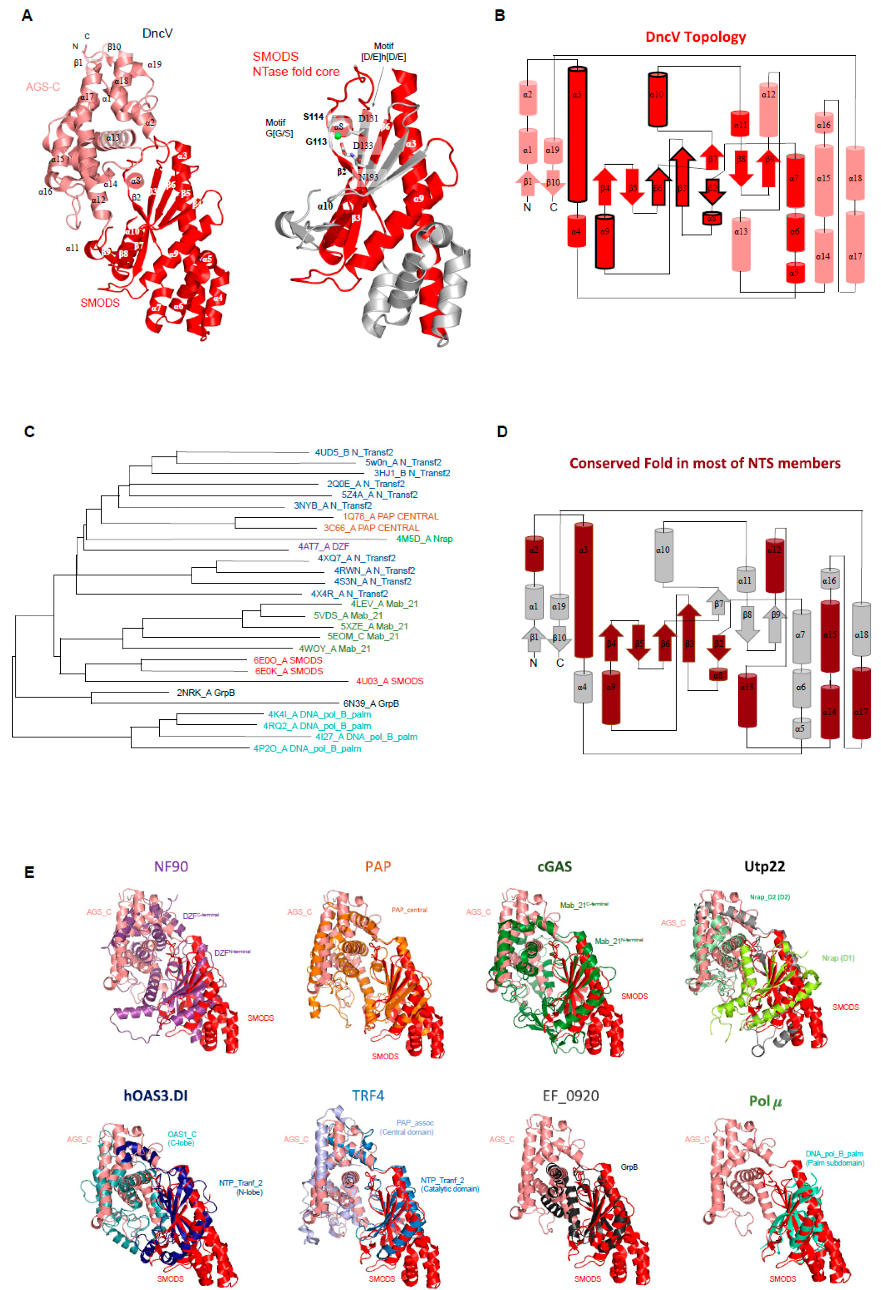 Molecules 25 02462 g004