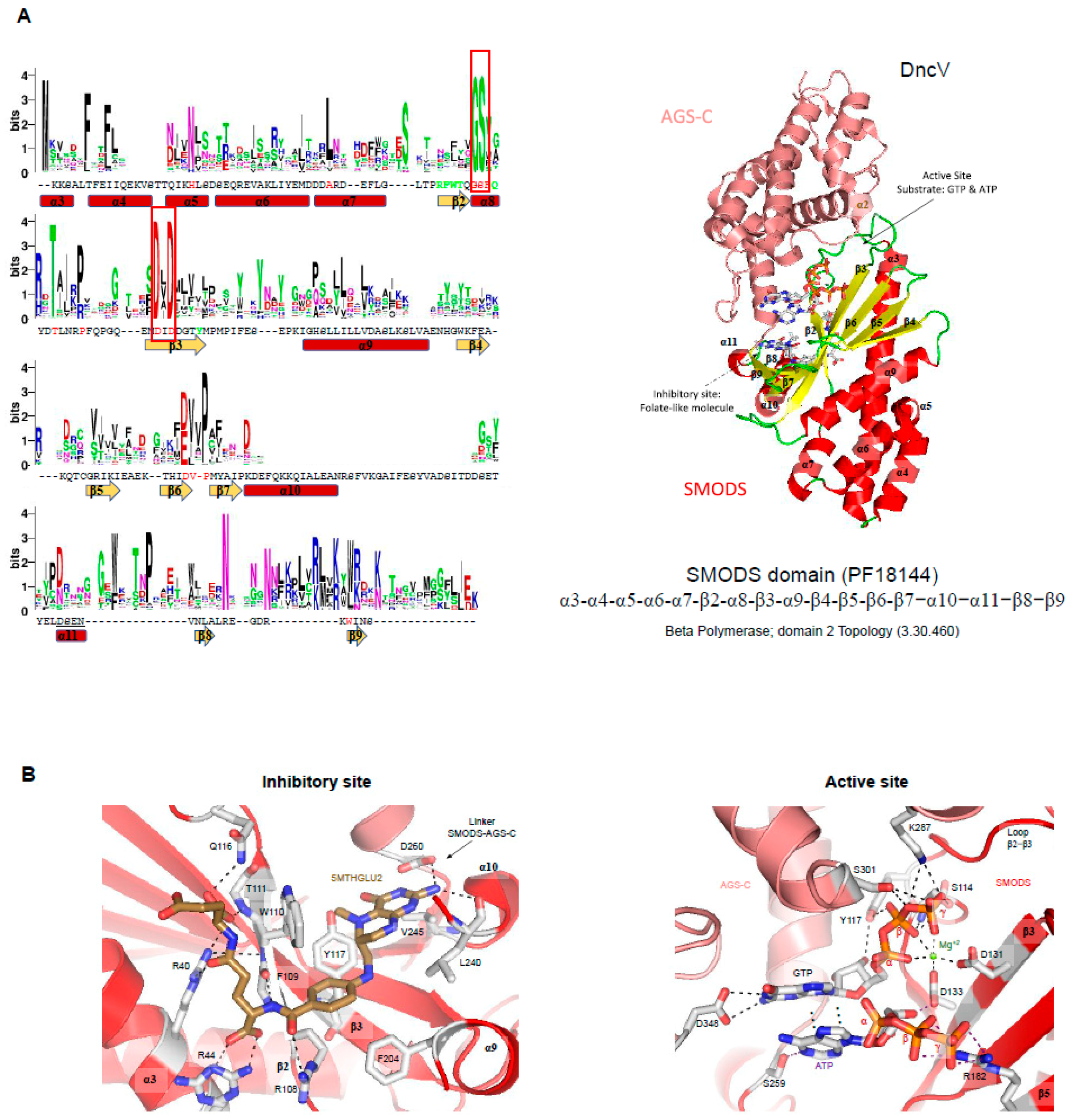 Molecules 25 02462 g005