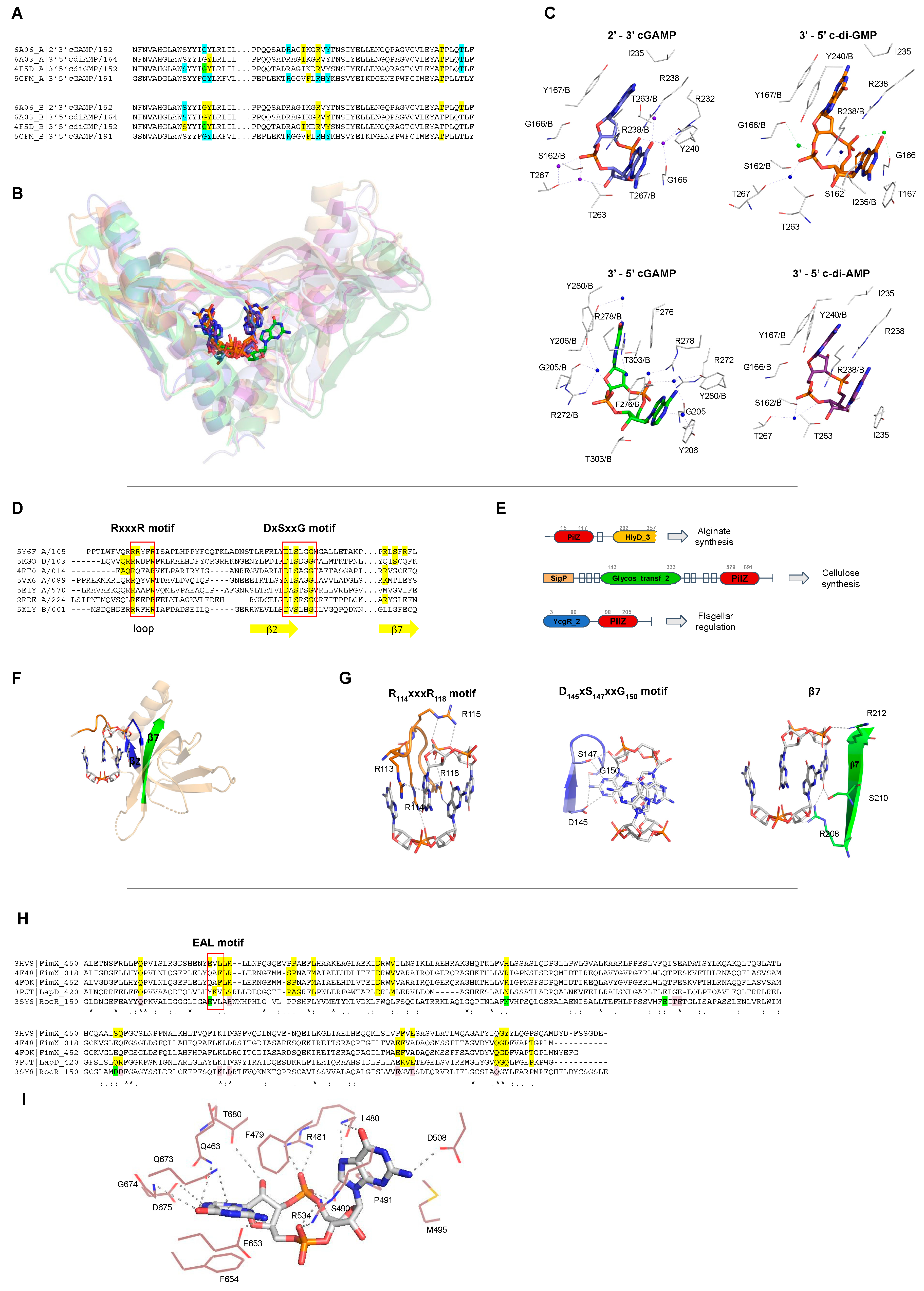 Molecules 25 02462 g007