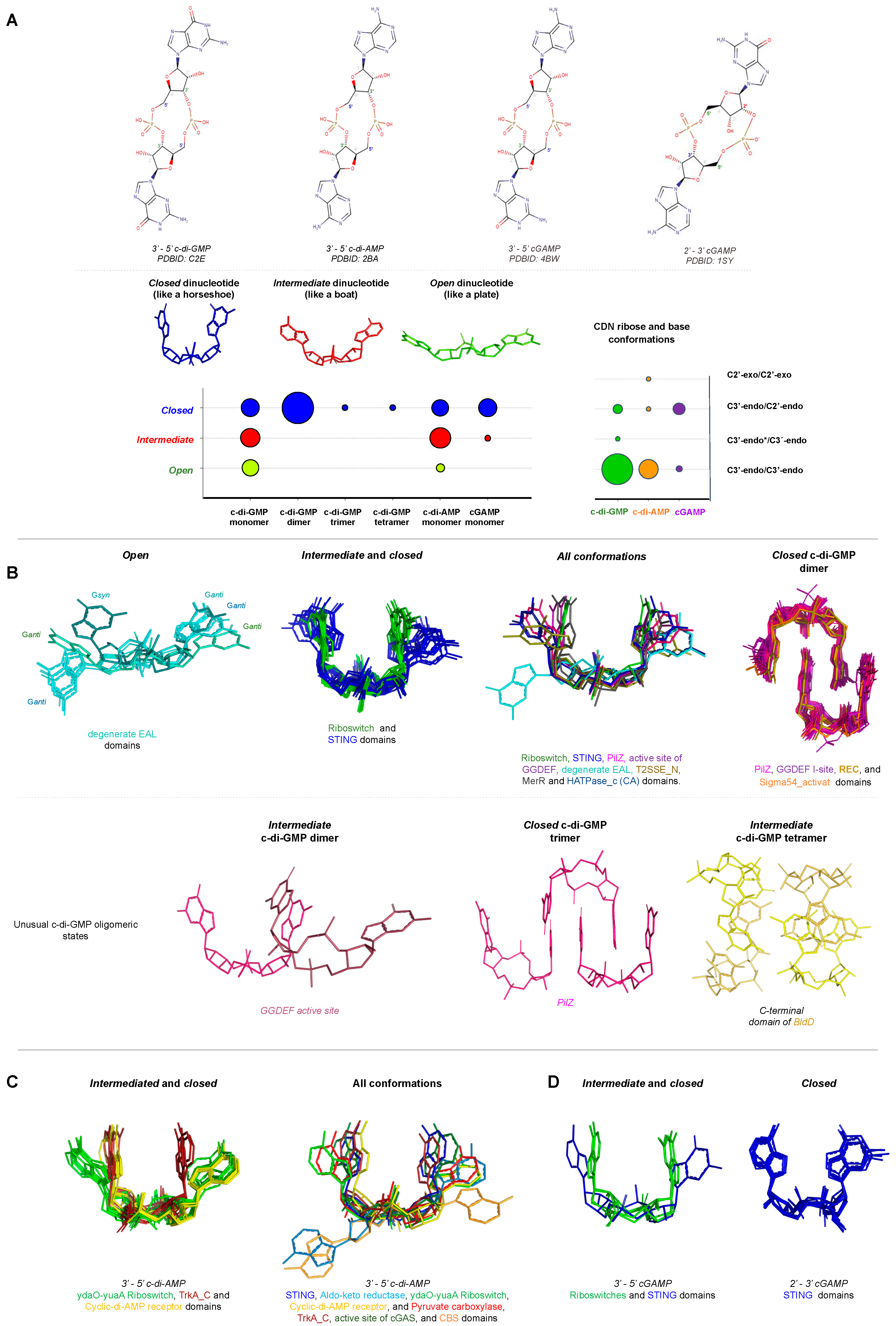 Molecules 25 02462 g008