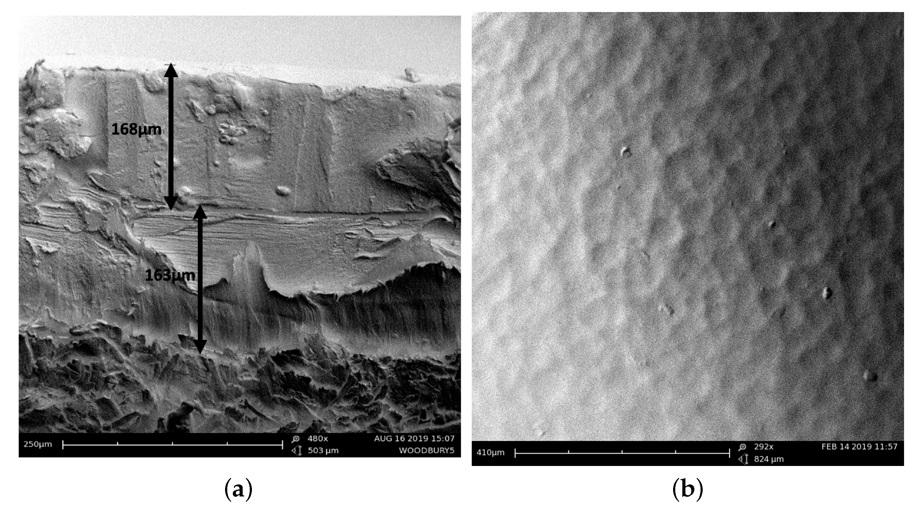Molecules 25 02468 g005