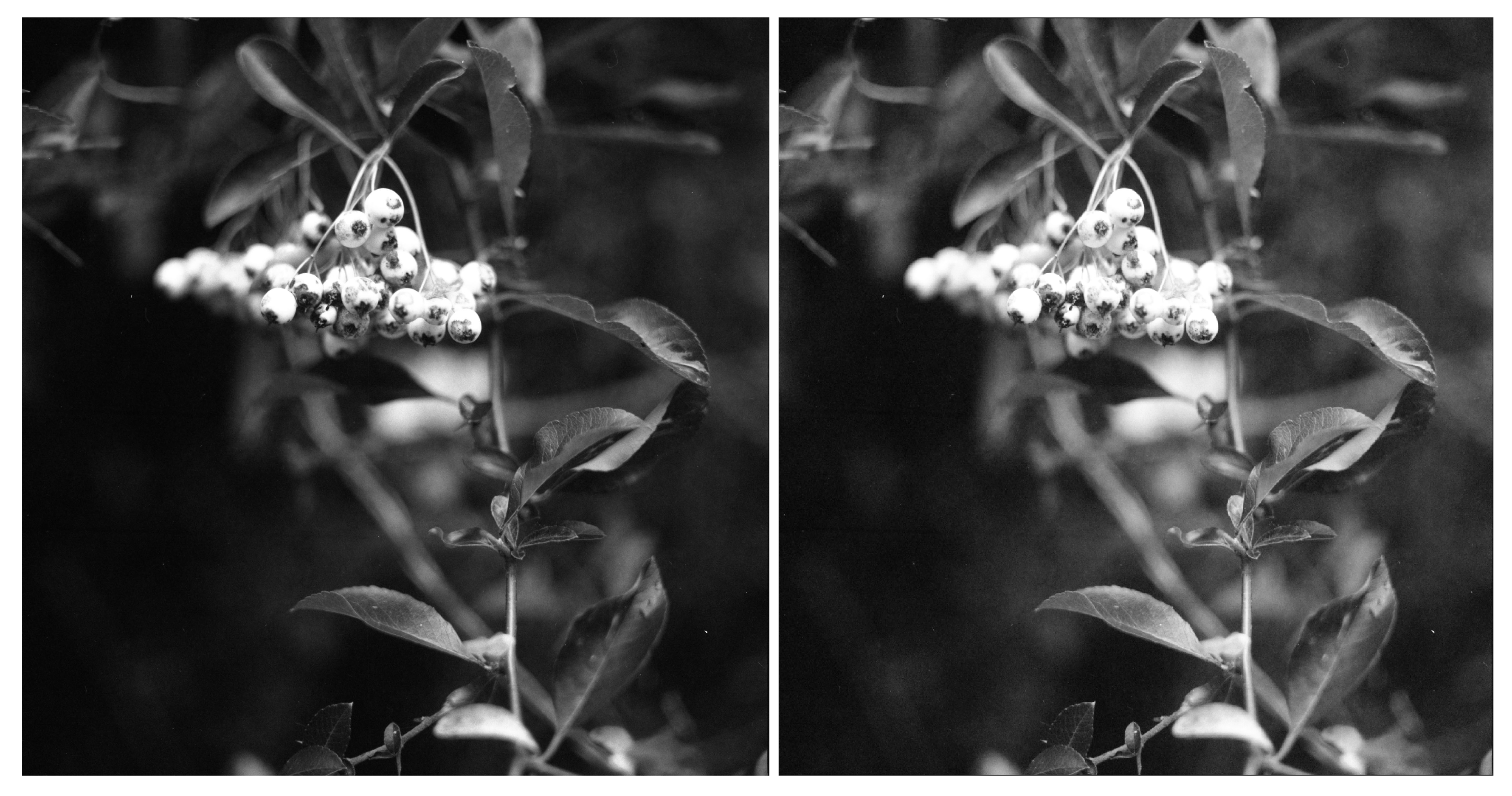 Molecules 25 02468 g0a1