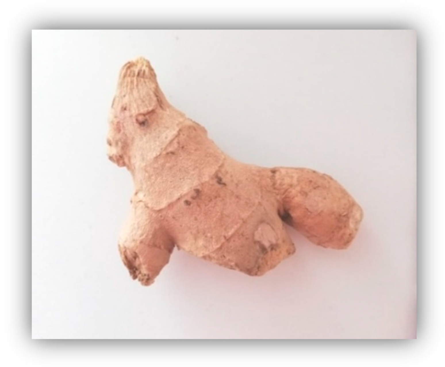 Molecules 25 02478 g005