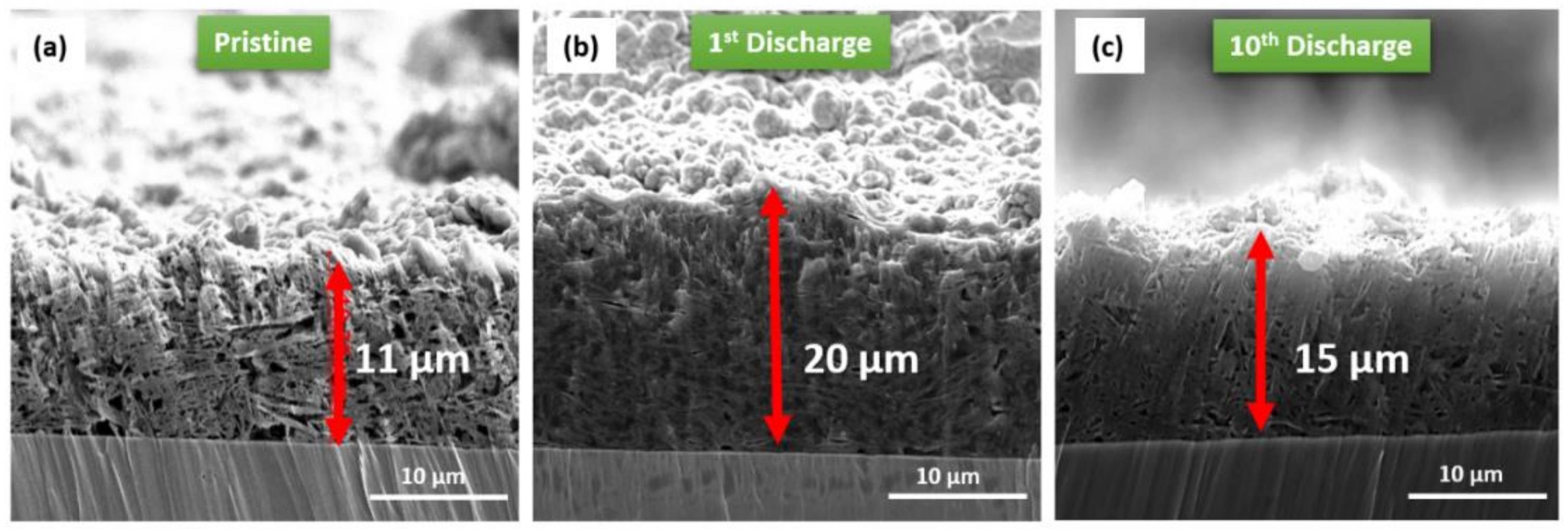 Molecules 25 02494 g007