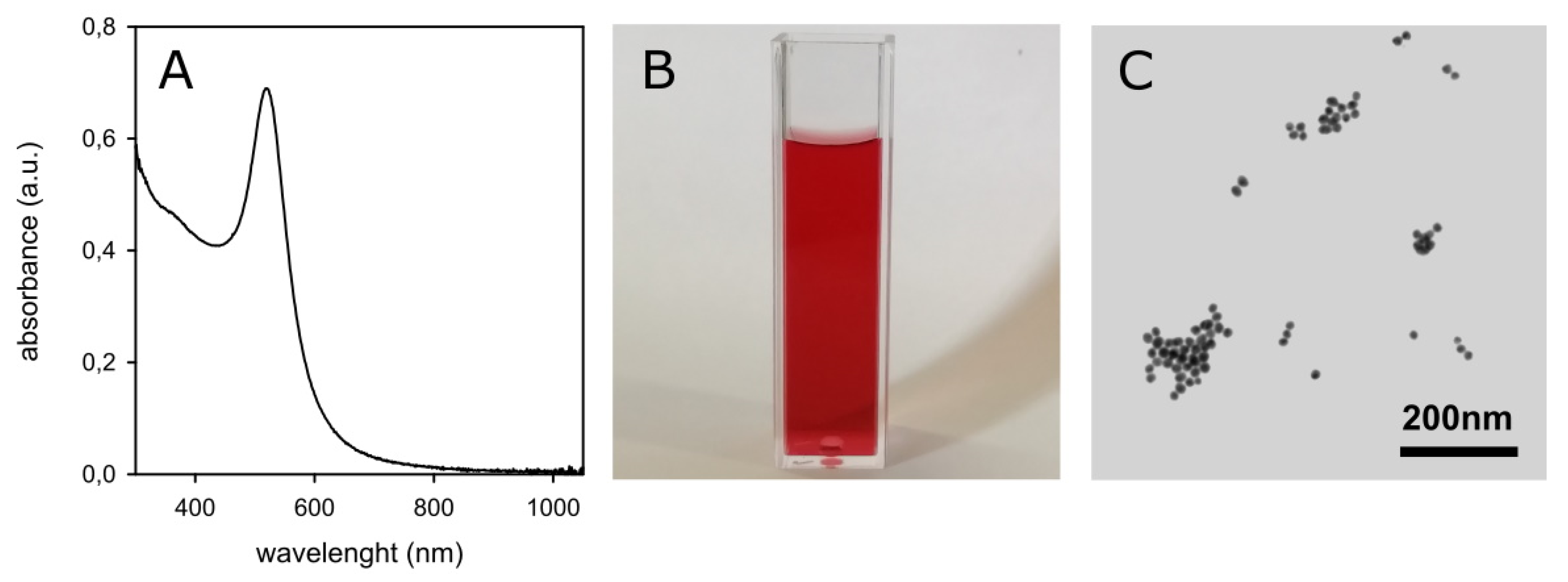 Molecules 25 02499 g002