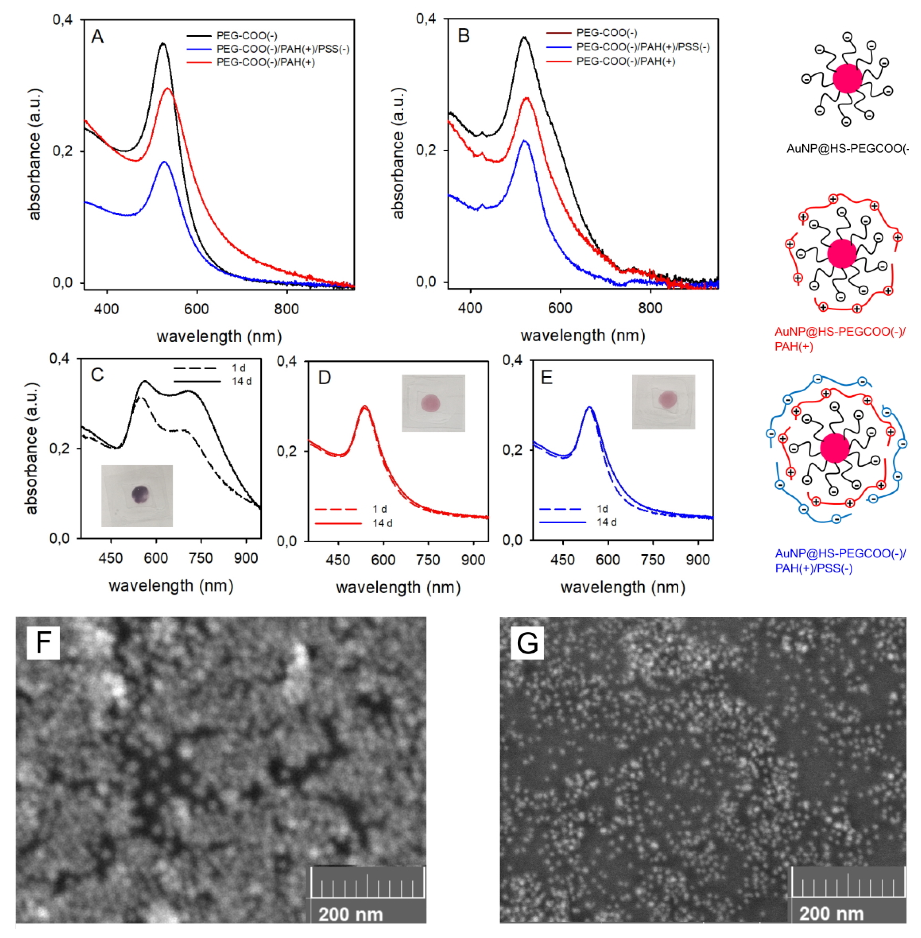 Molecules 25 02499 g006