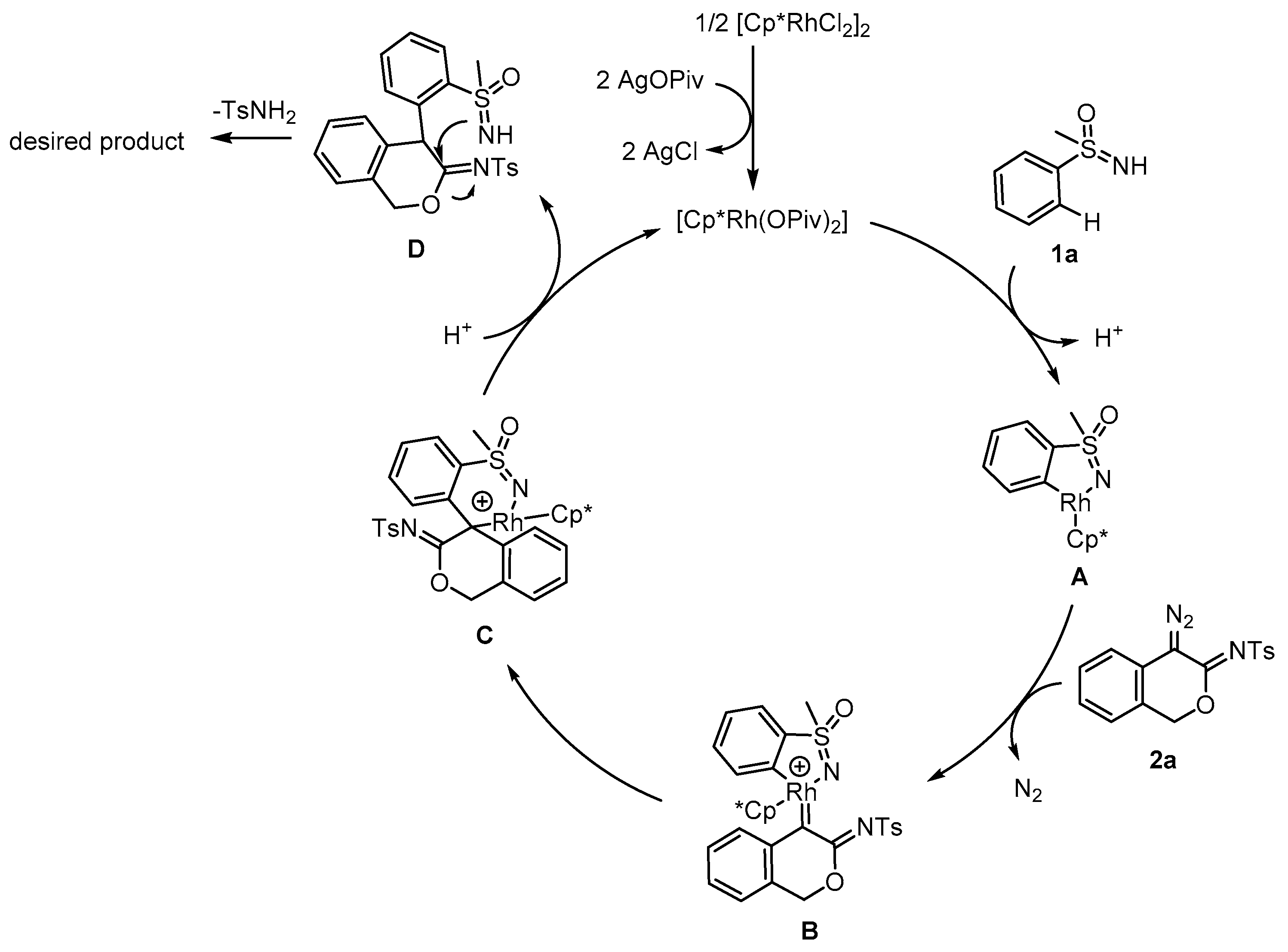 Molecules 25 02515 sch004 Molecules 25 02515 sch004
