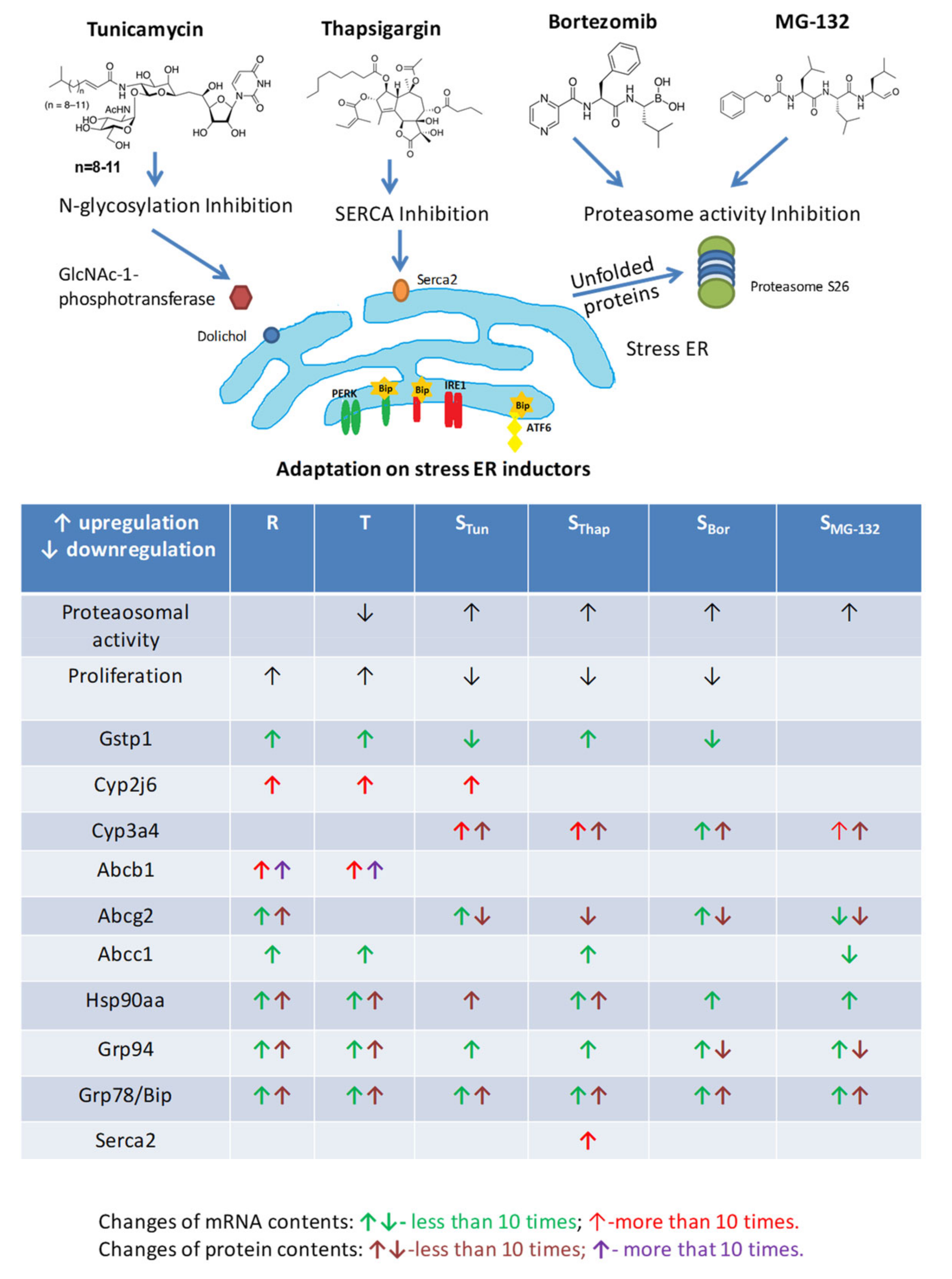 Molecules 25 02517 g008