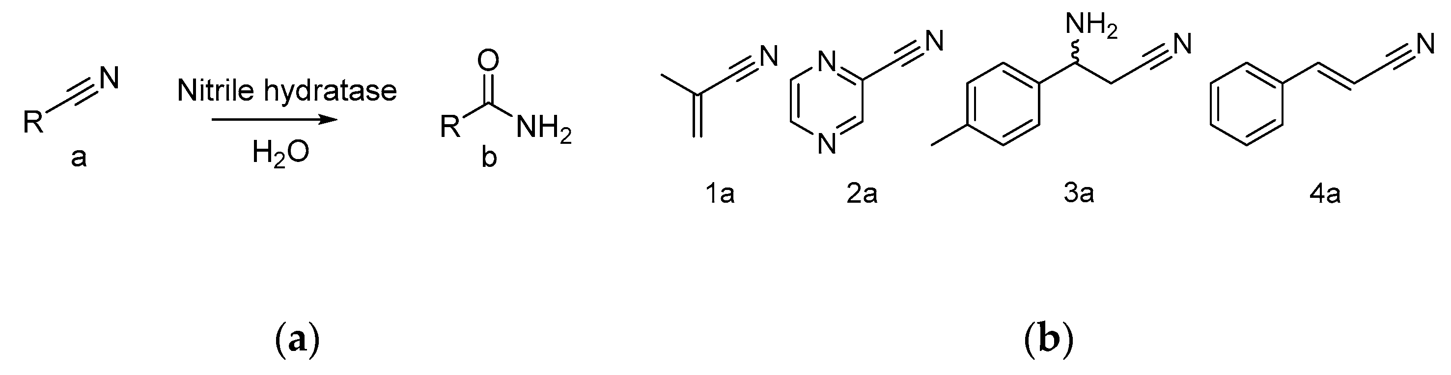 Molecules 25 02521 g001