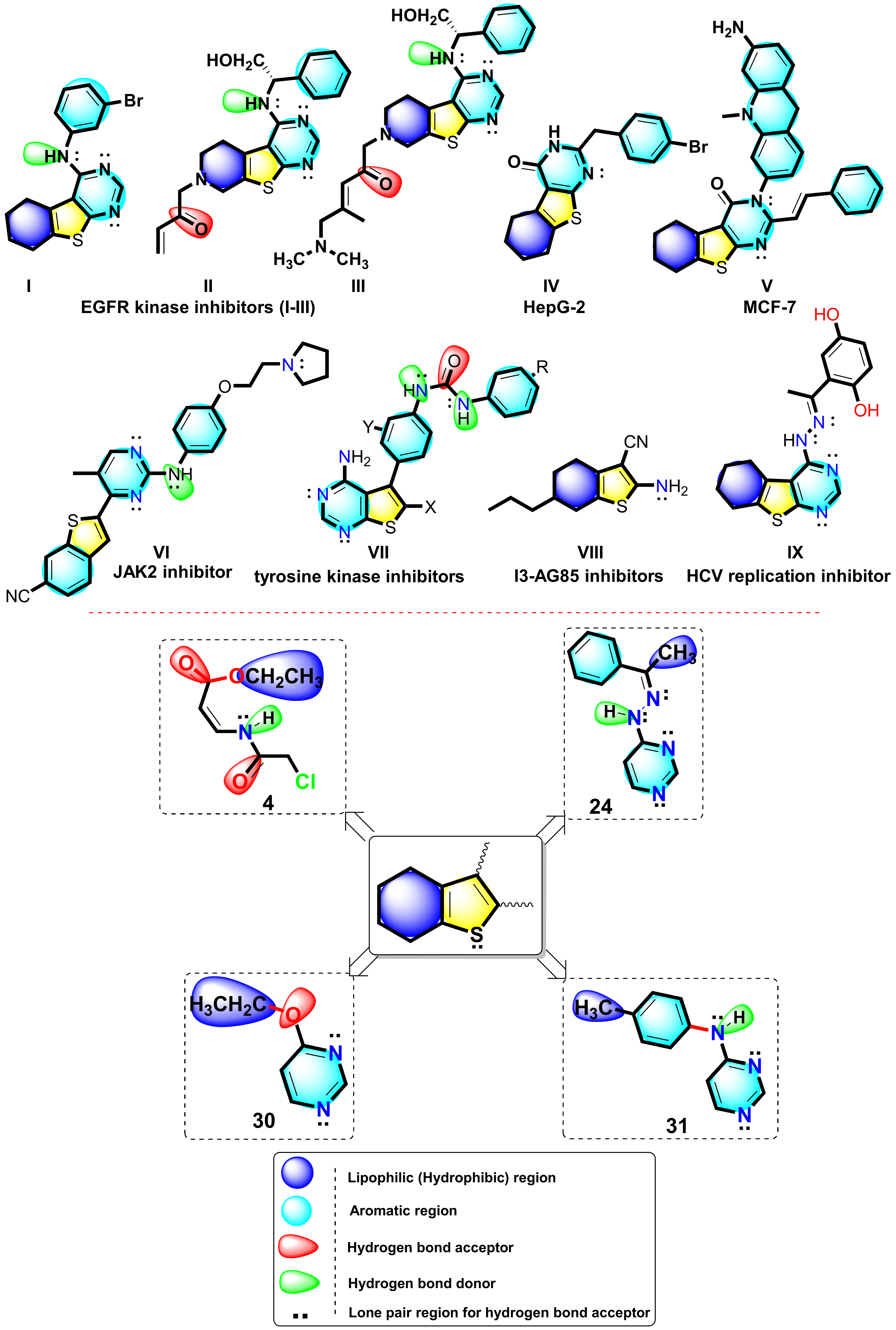 Molecules 25 02523 g001