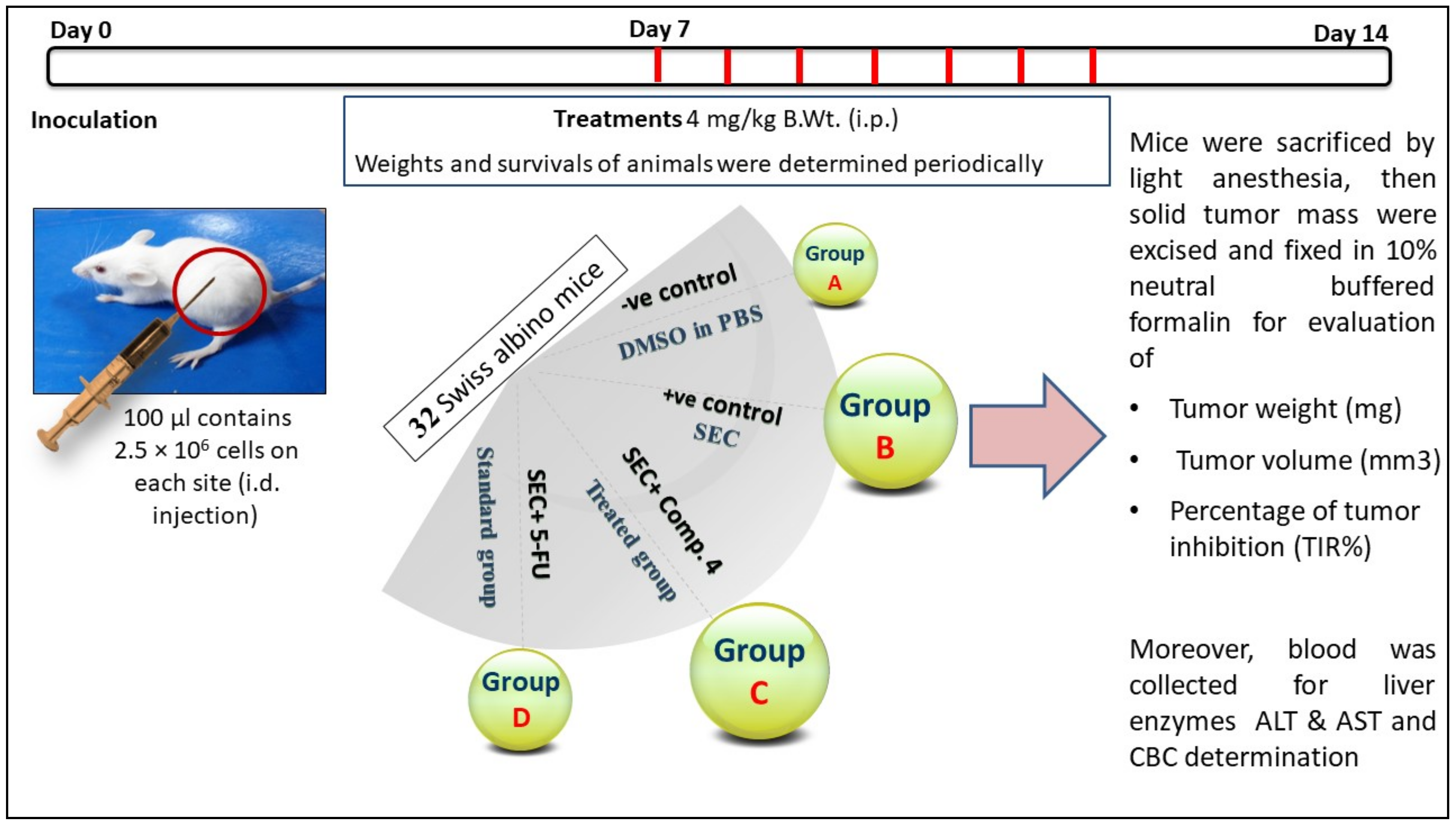 Molecules 25 02523 g007