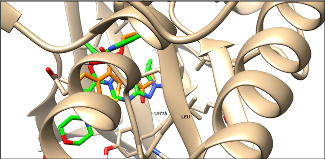 Molecules 25 02523 i001