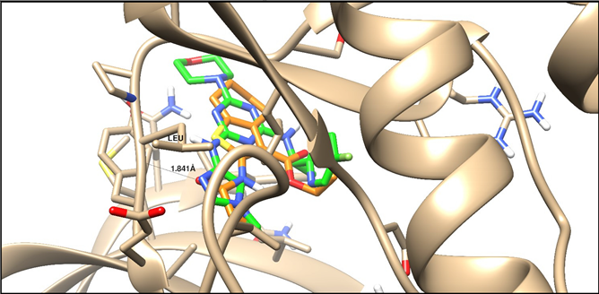 Molecules 25 02523 i002