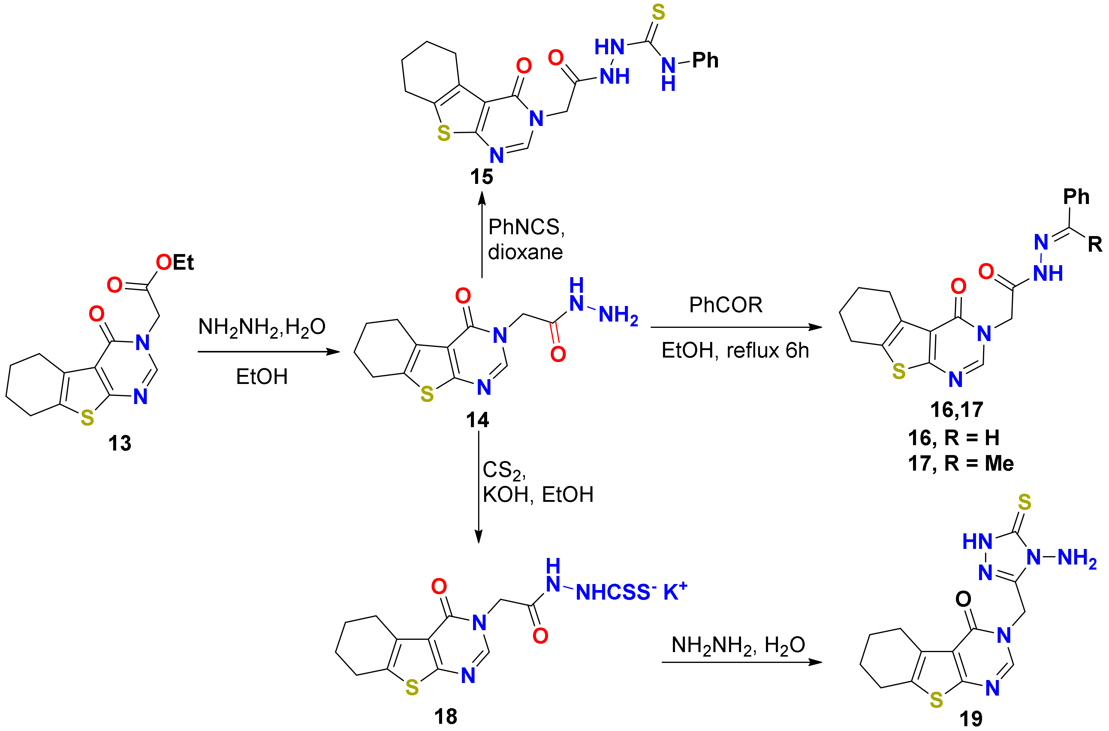 Molecules 25 02523 sch004