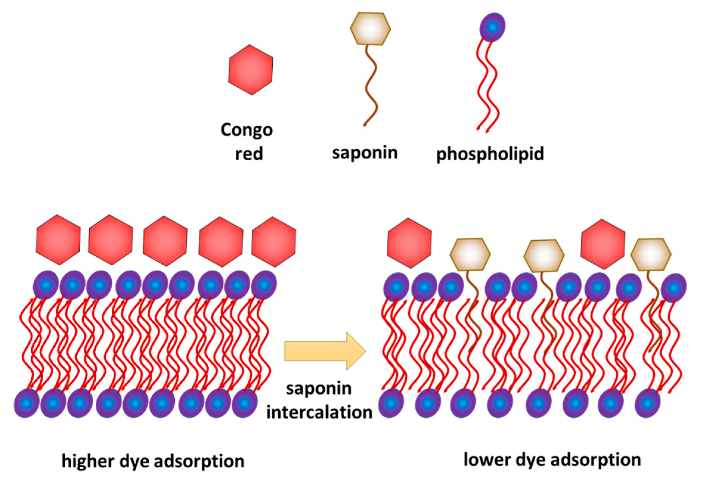 Molecules 25 02527 g006 Molecules 25 02527 g006