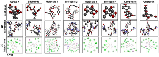 Molecules 25 02540 g009