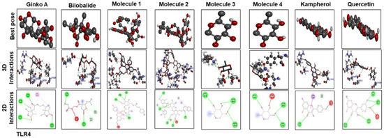 Molecules 25 02540 g010