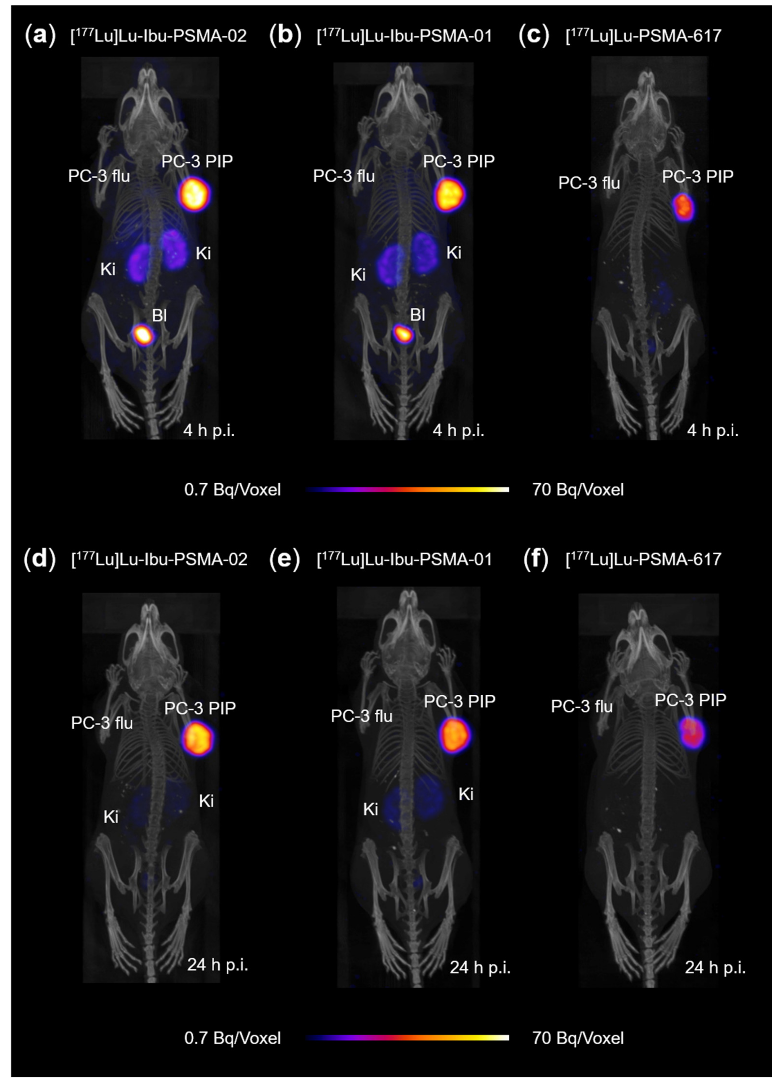 Molecules 25 02542 g007 Molecules 25 02542 g007