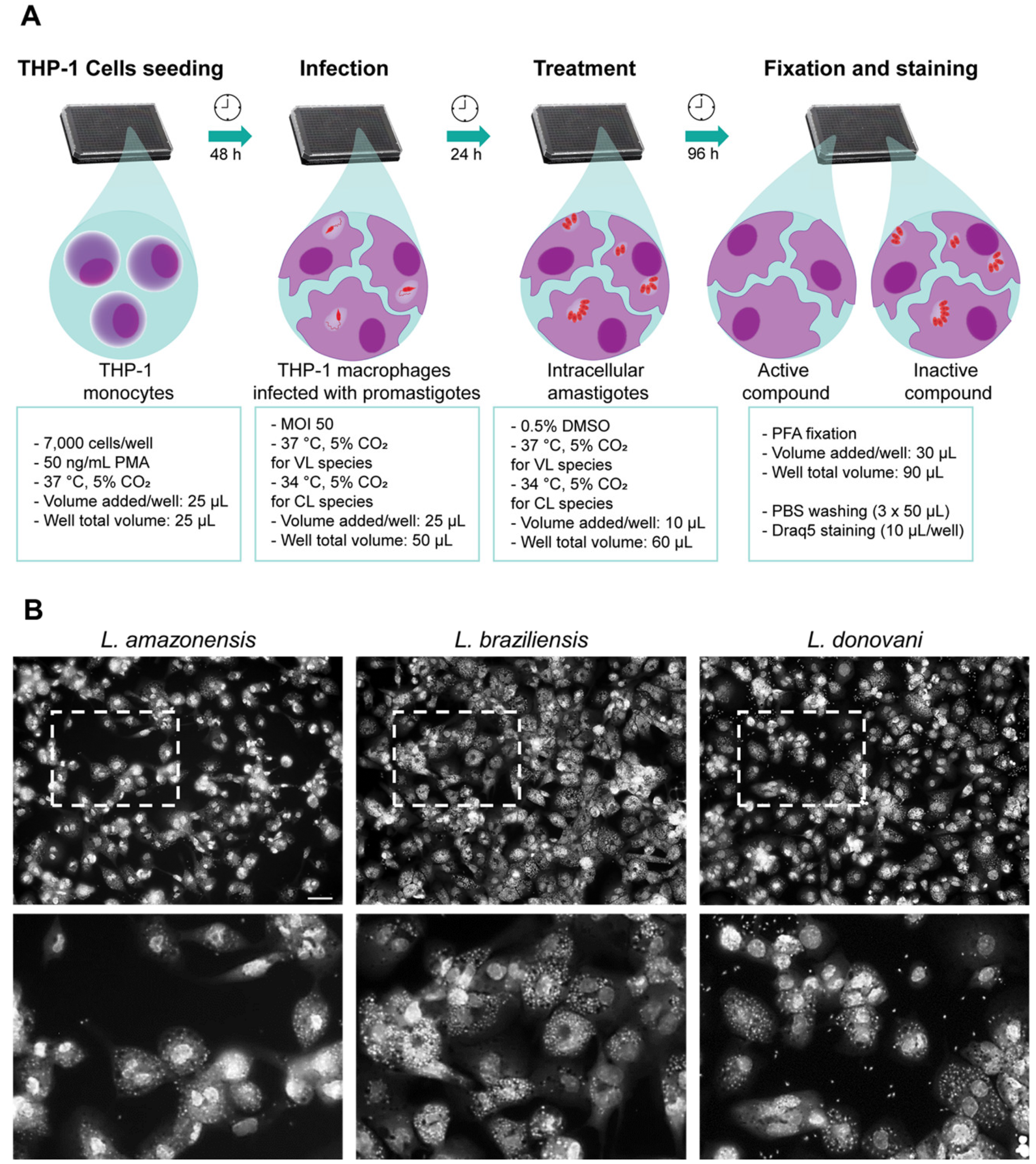 Molecules 25 02551 g001