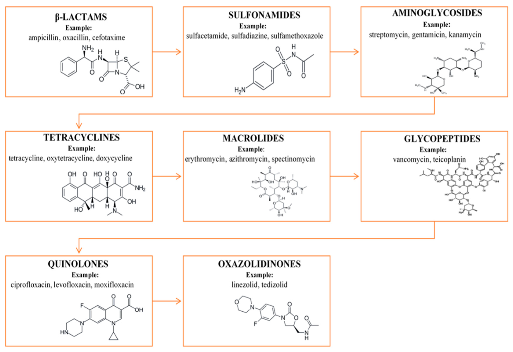 Molecules 25 02556 g001