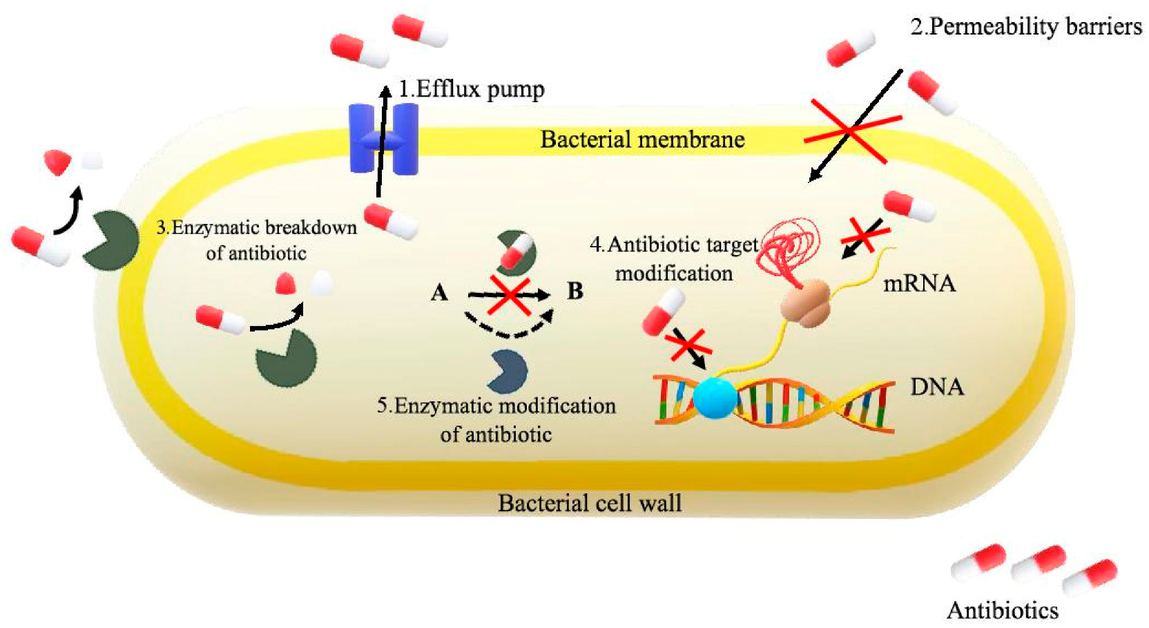 Molecules 25 02556 g003