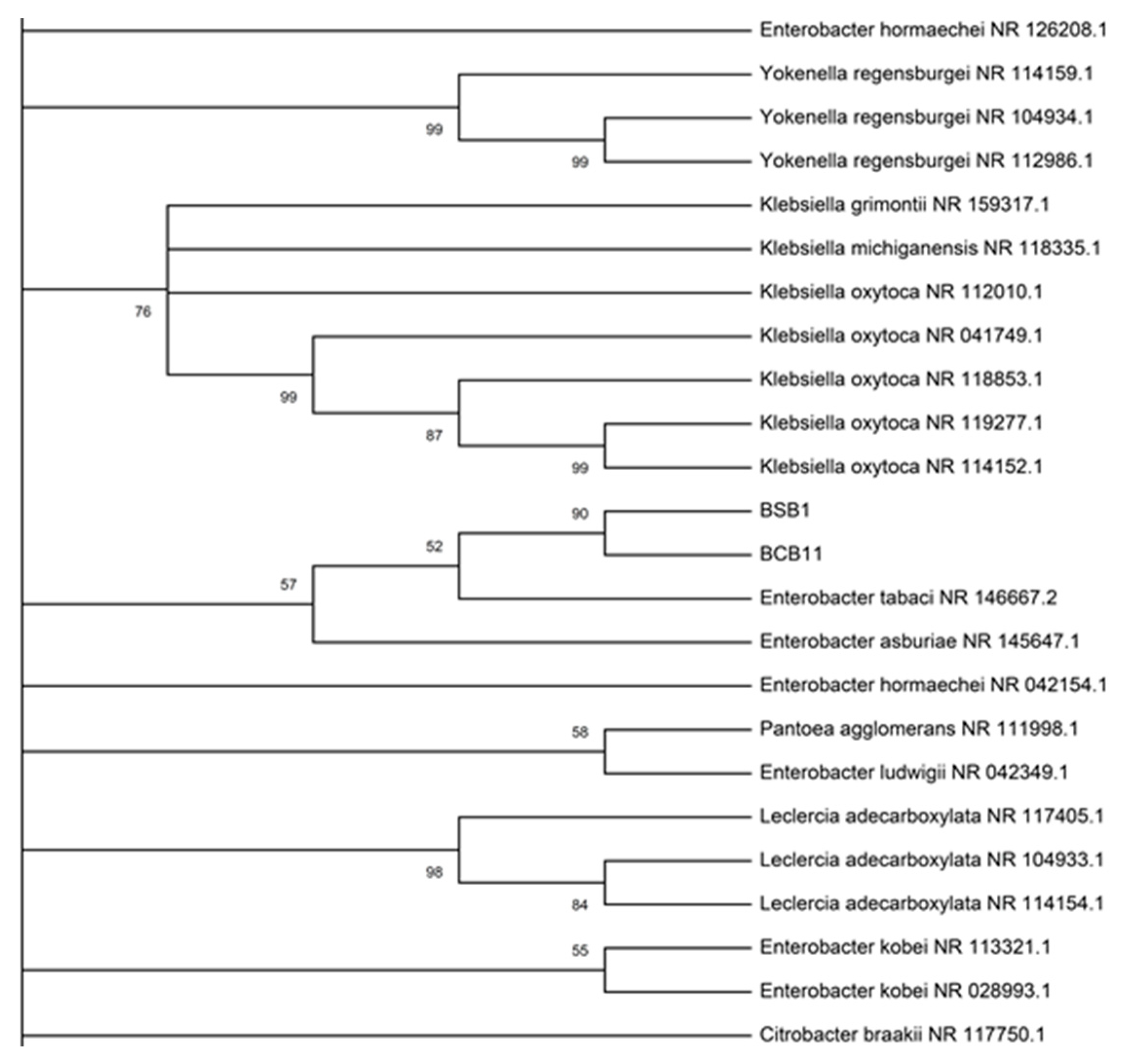 Molecules 25 02567 g002