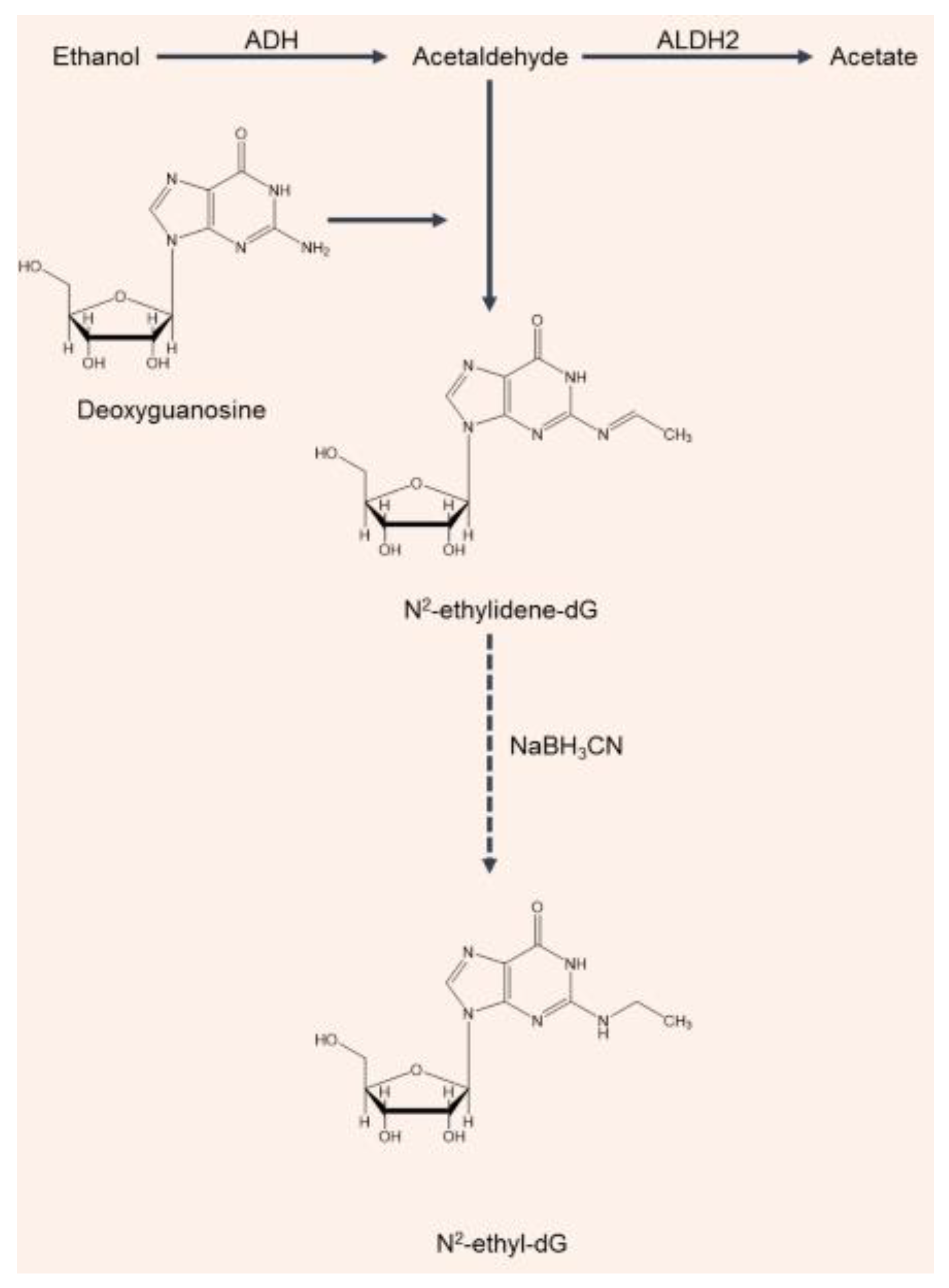 Molecules 25 02569 g002 Molecules 25 02569 g002