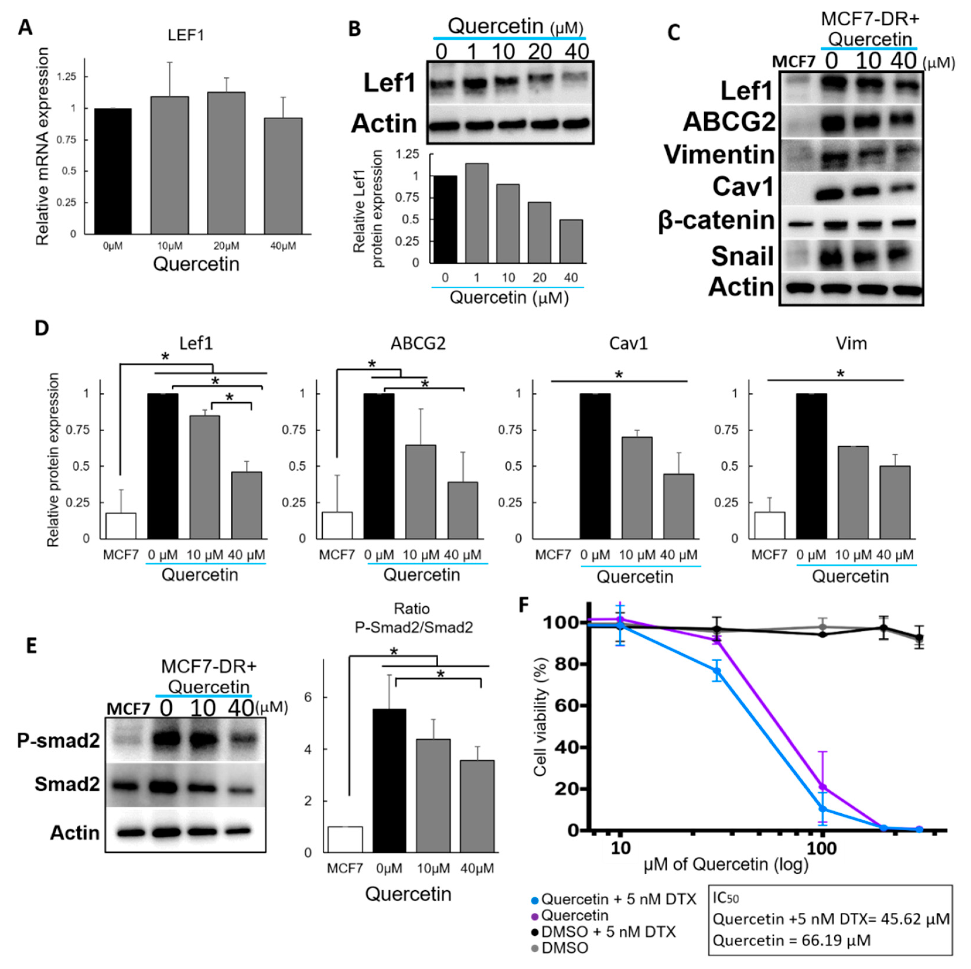 Molecules 25 02576 g003