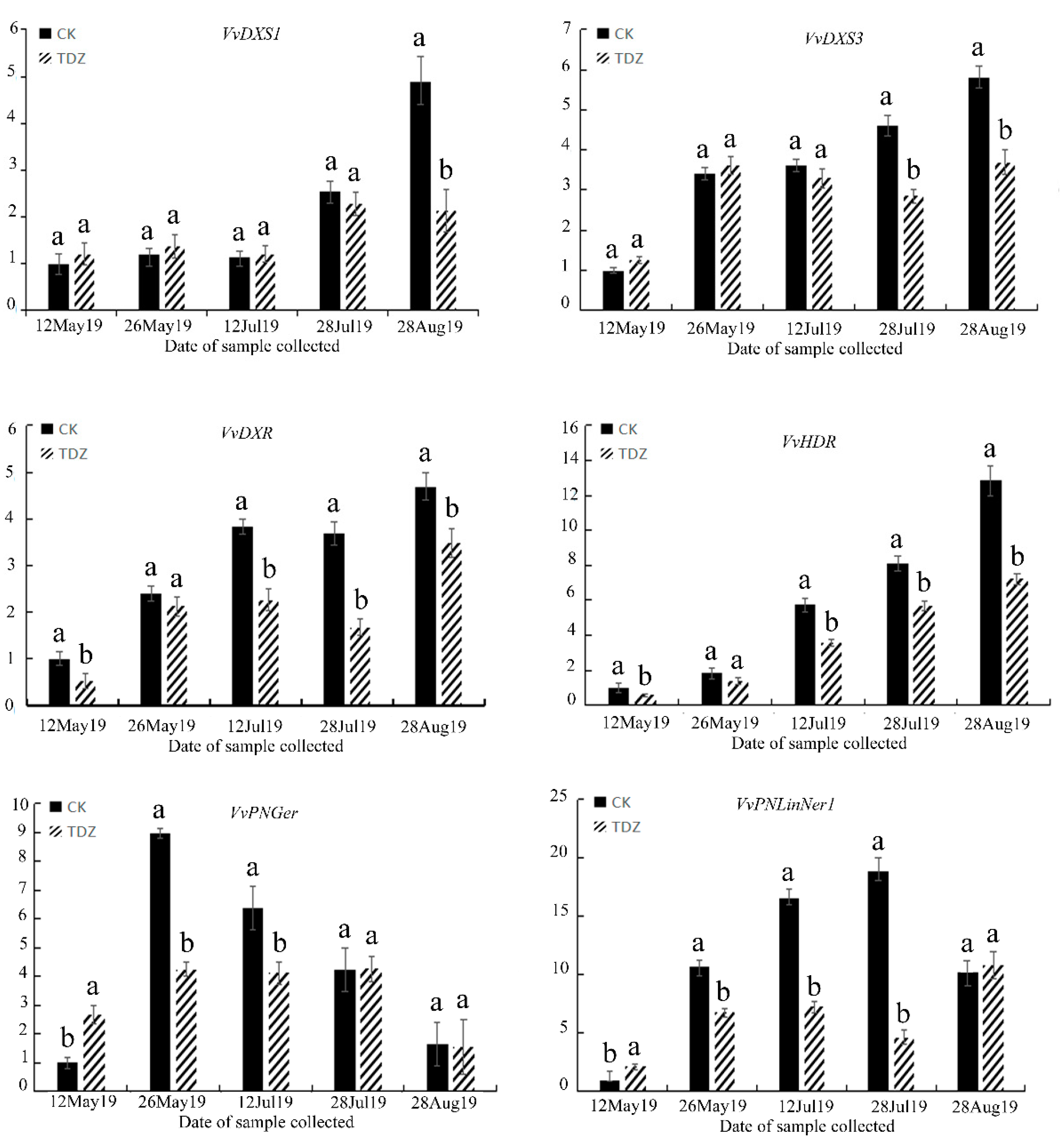 Molecules 25 02578 g004 Molecules 25 02578 g004