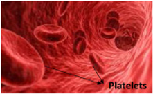 Molecules 25 02592 i003 Molecules 25 02592 i003