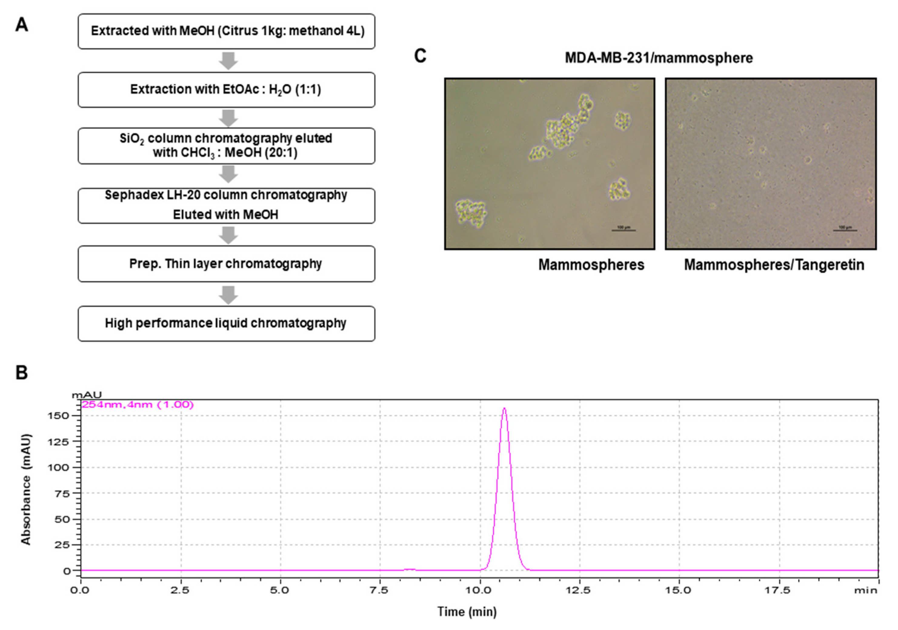 Molecules 25 02599 g001 Molecules 25 02599 g001