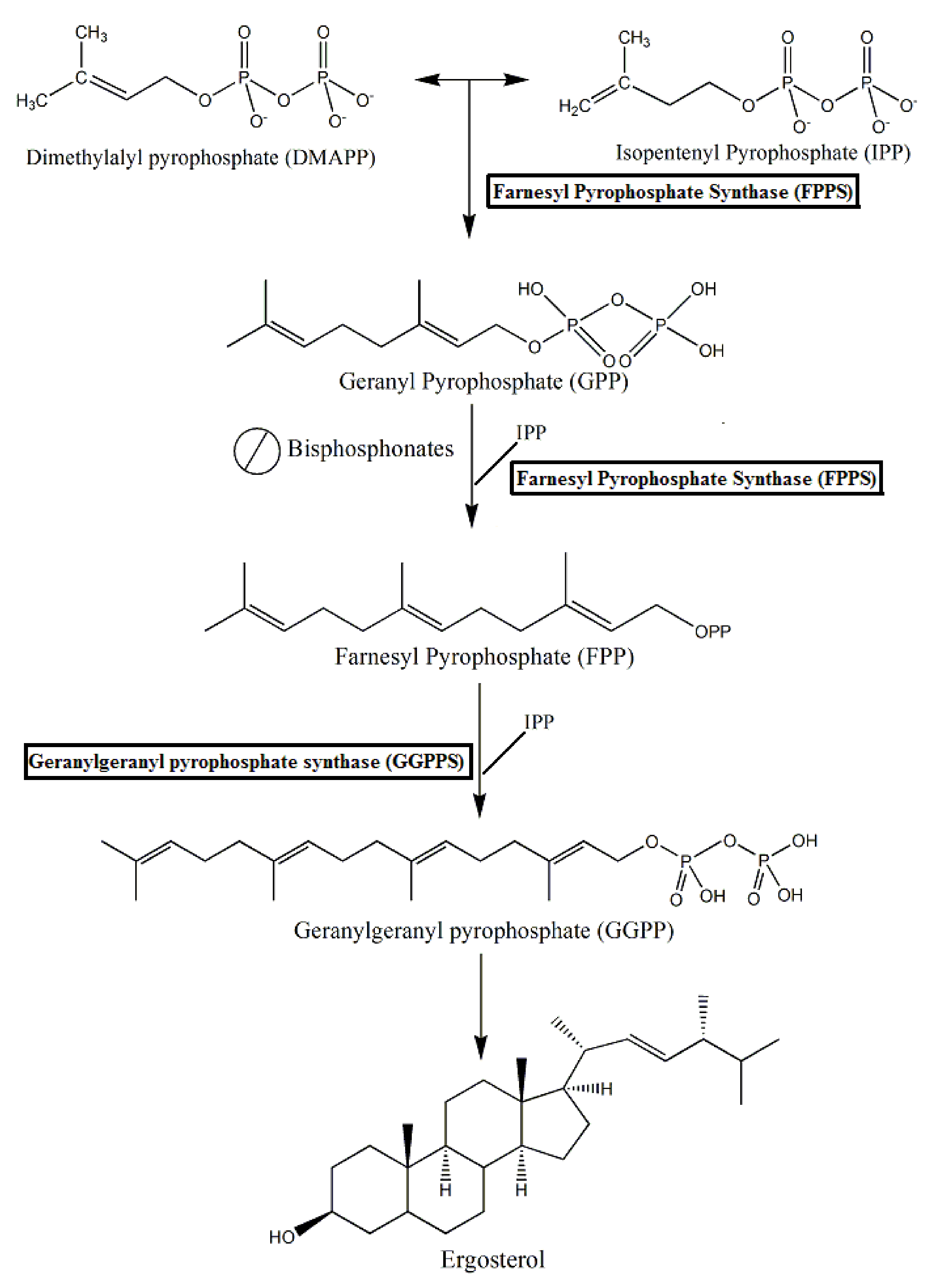 Molecules 25 02602 g004 Molecules 25 02602 g004
