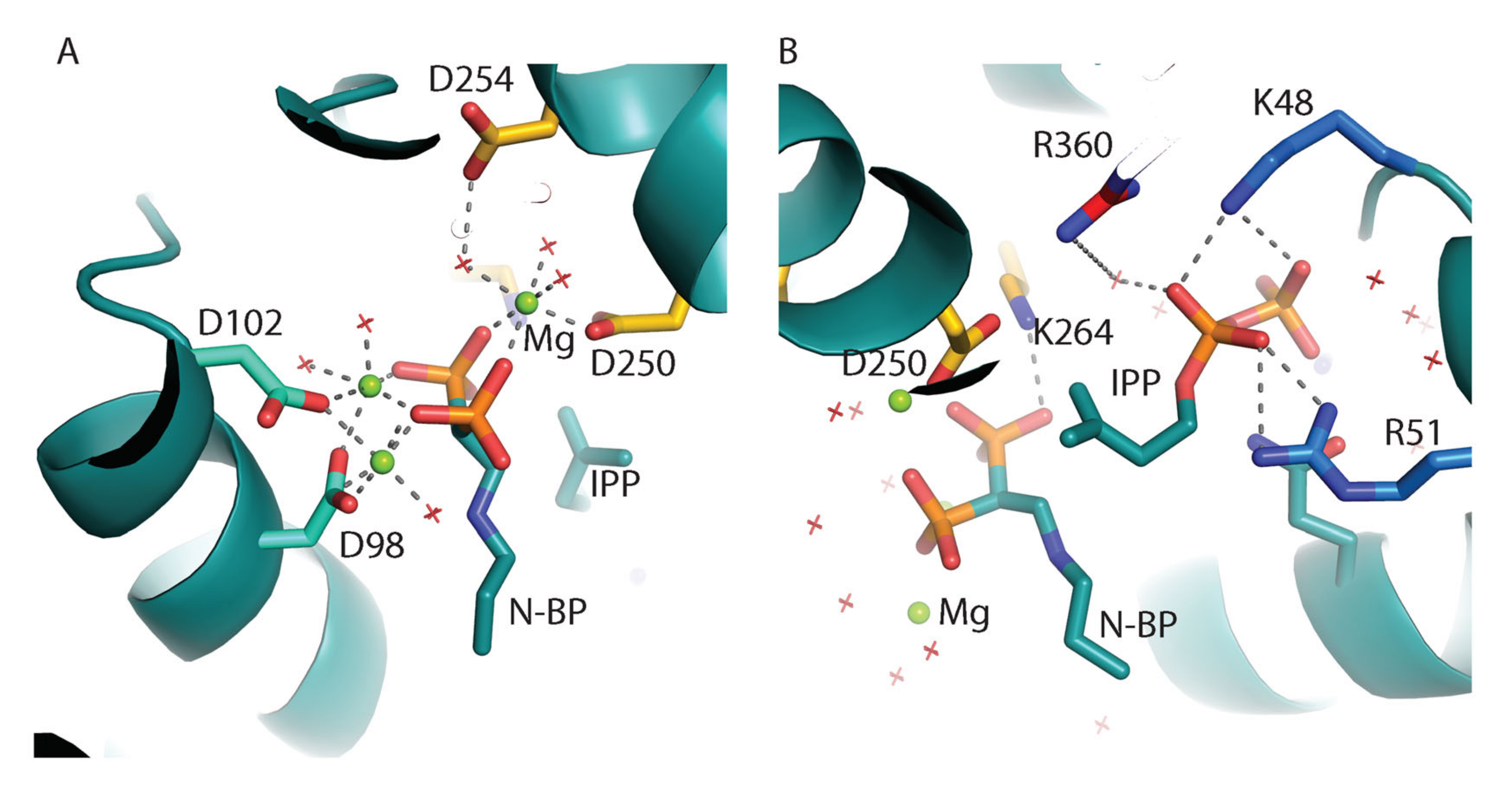 Molecules 25 02602 g005 Molecules 25 02602 g005