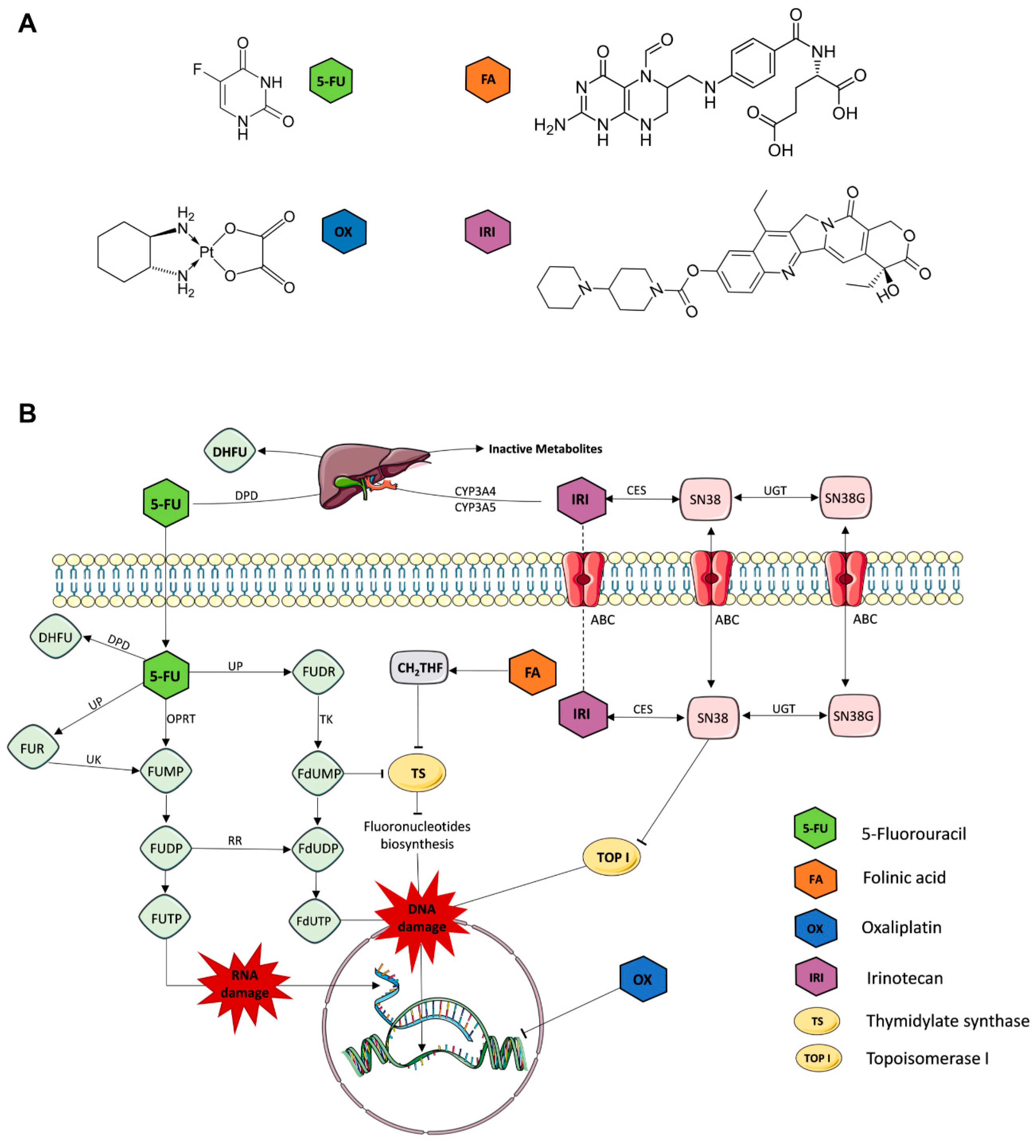 Molecules 25 02614 g001
