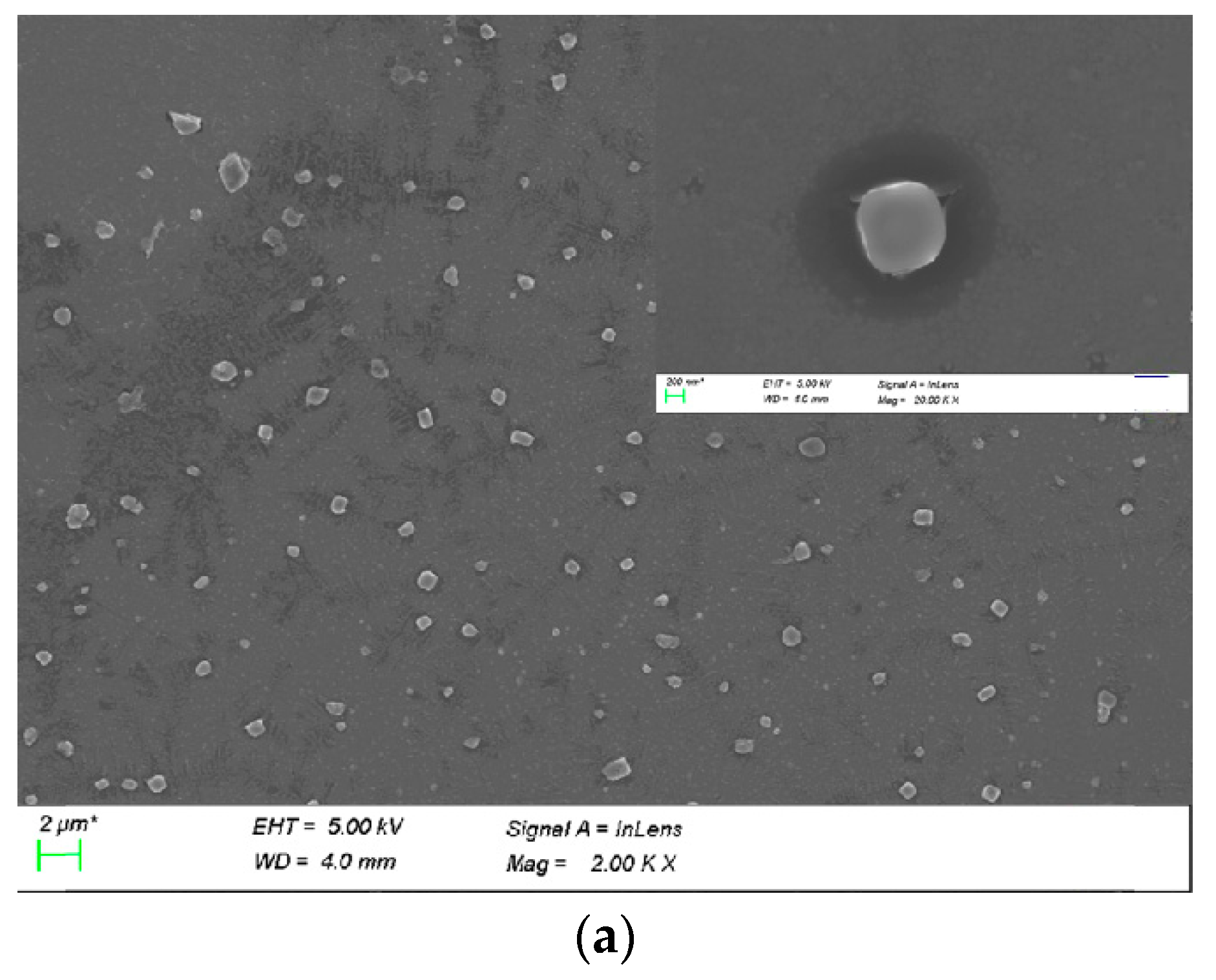 Molecules 25 02621 g004a