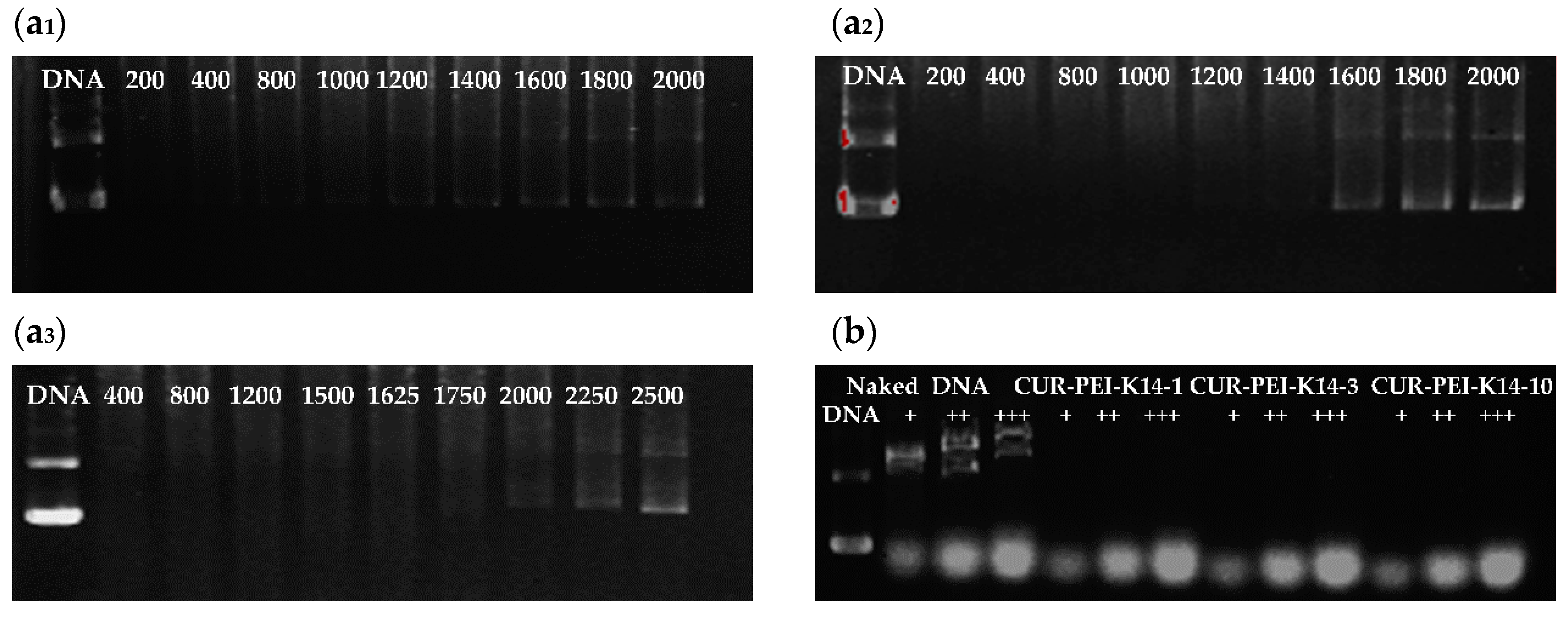Molecules 25 02621 g005
