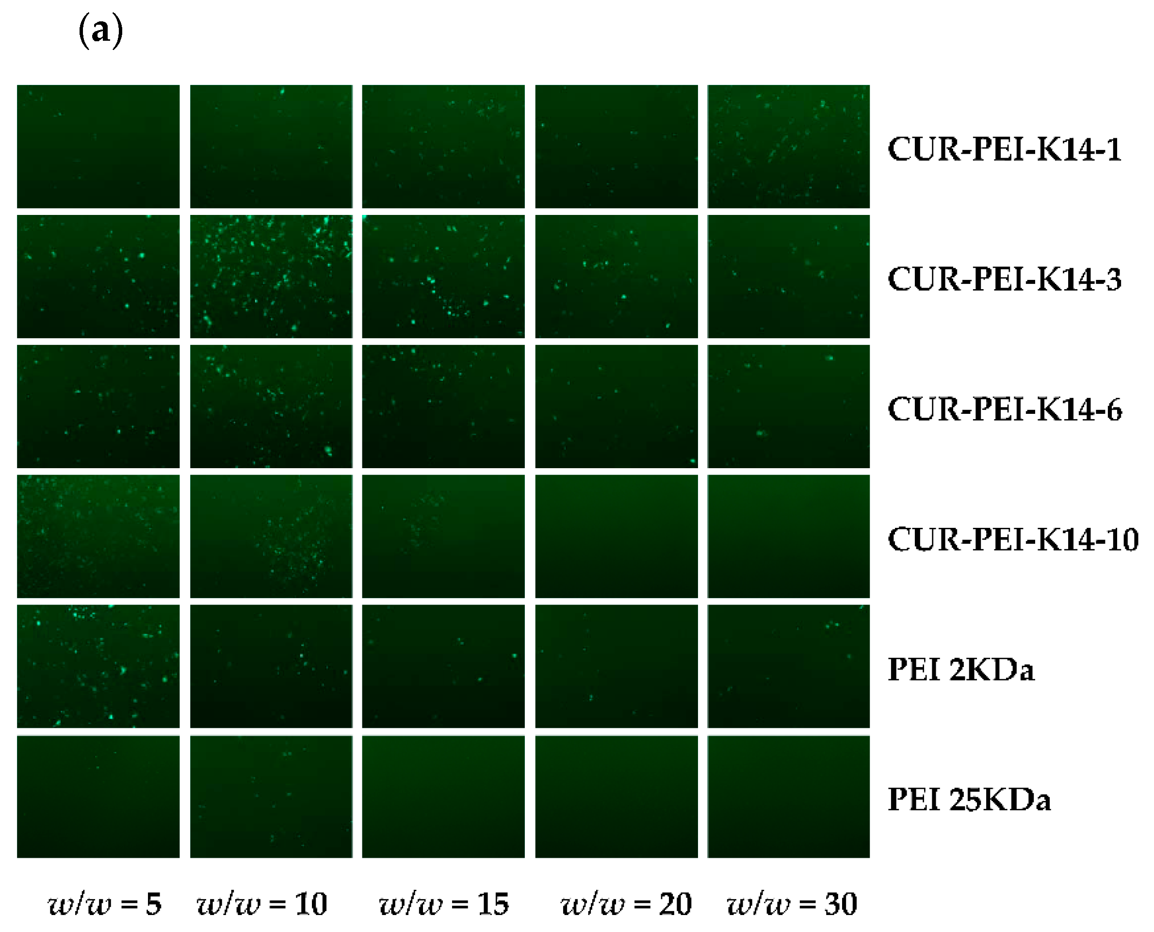 Molecules 25 02621 g006a