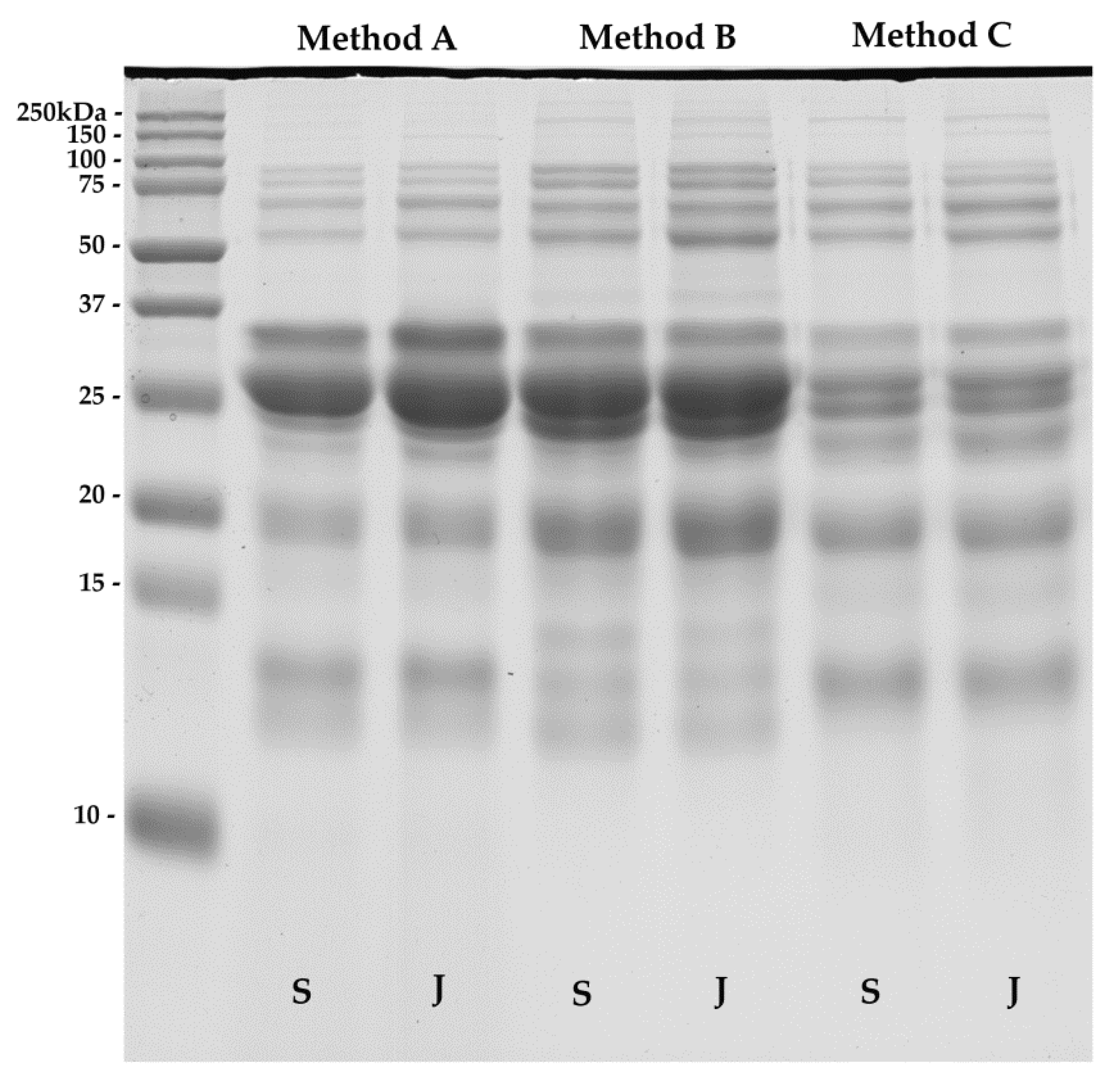 Molecules 25 02625 g002