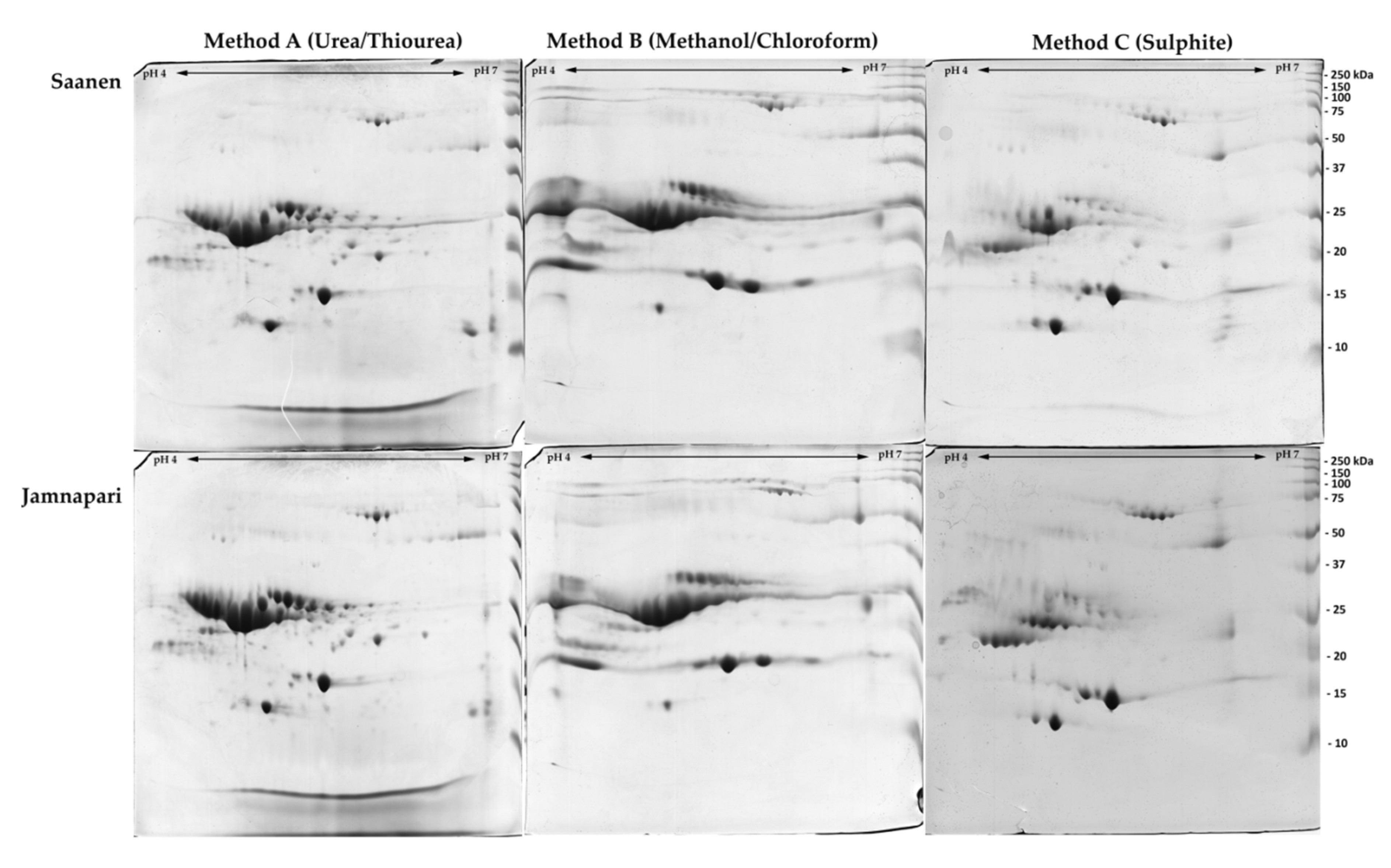 Molecules 25 02625 g003