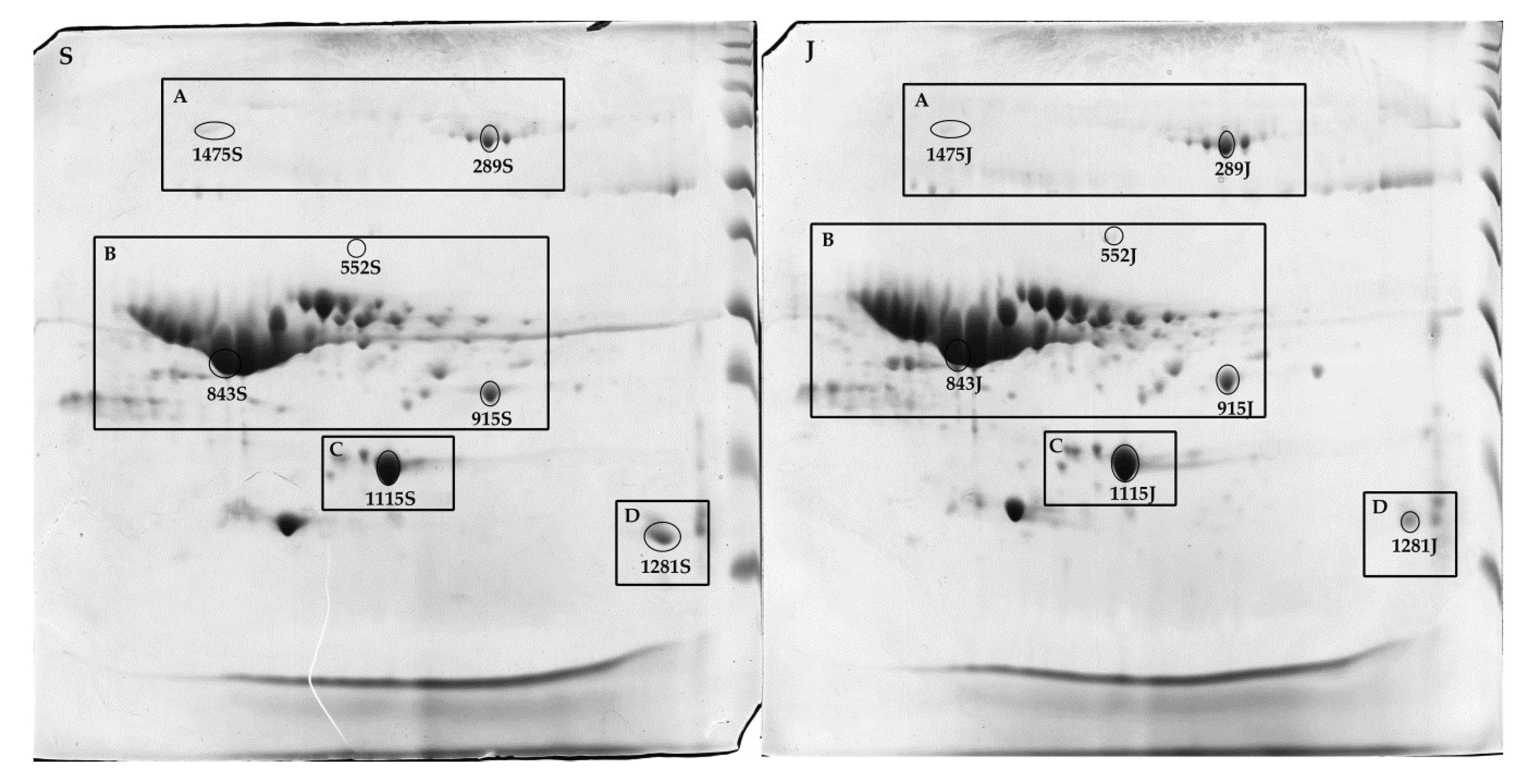 Molecules 25 02625 g004