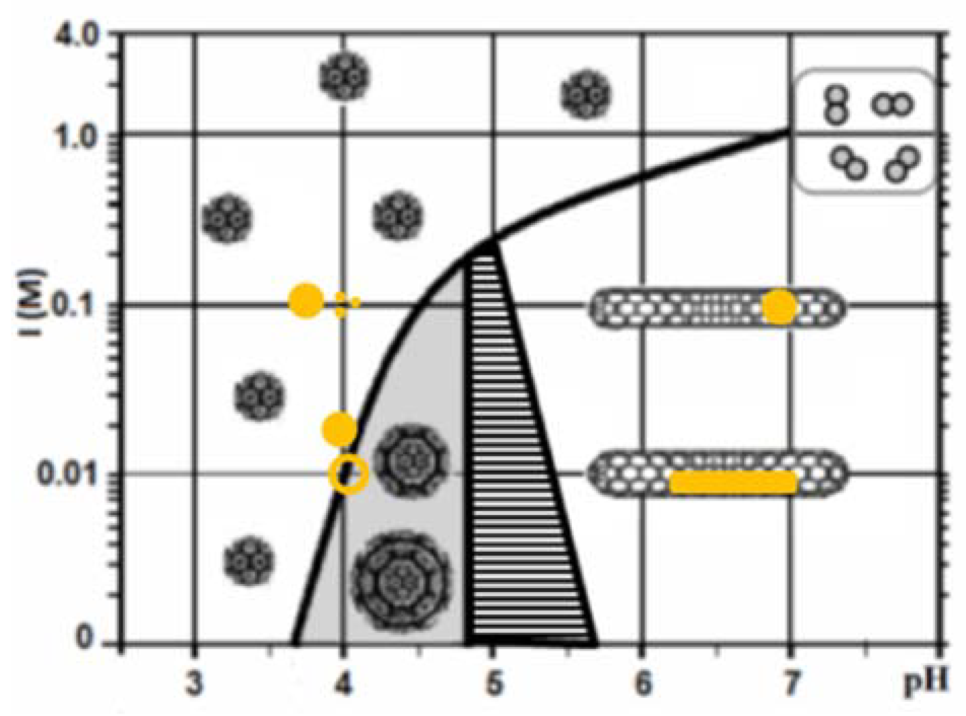 Molecules 25 02628 g001