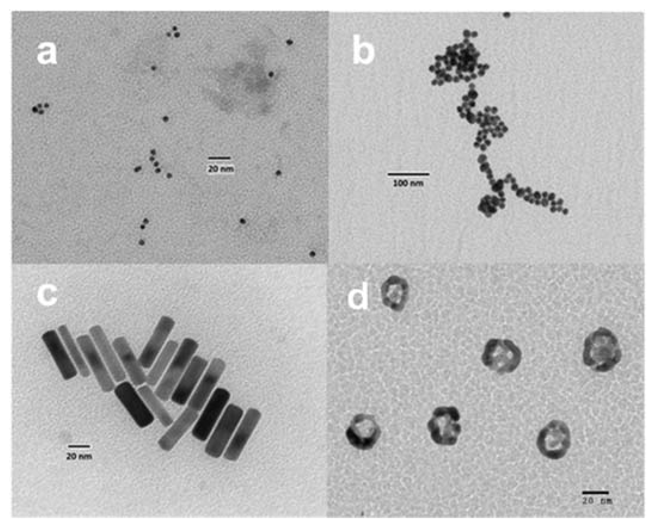 Molecules 25 02628 g002