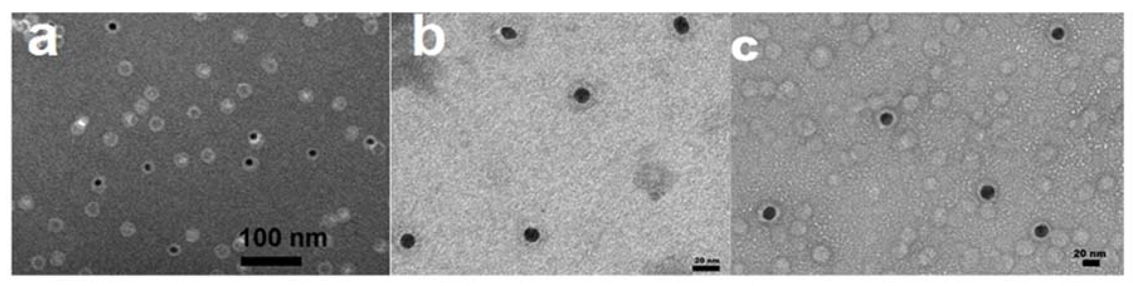 Molecules 25 02628 g004