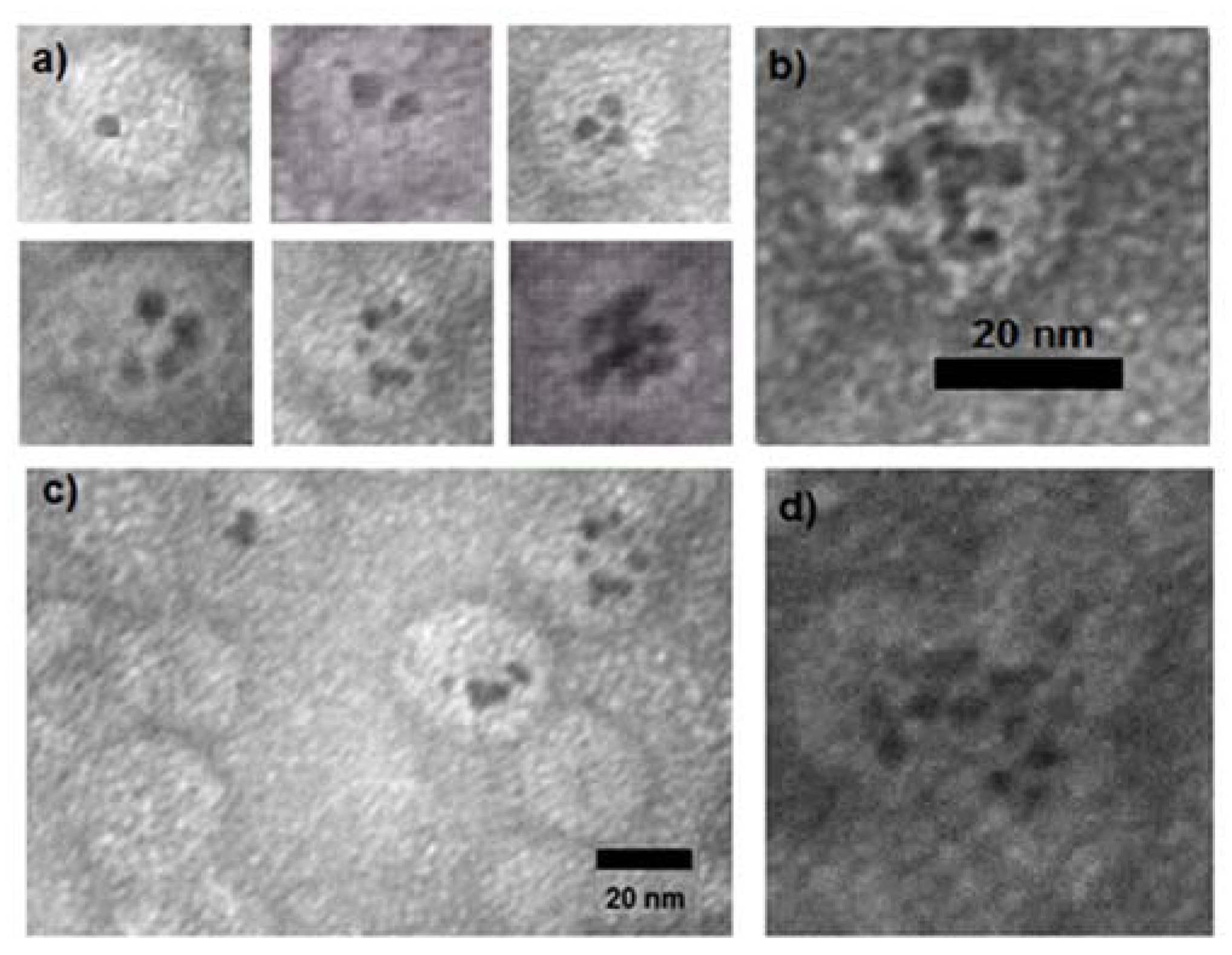 Molecules 25 02628 g005
