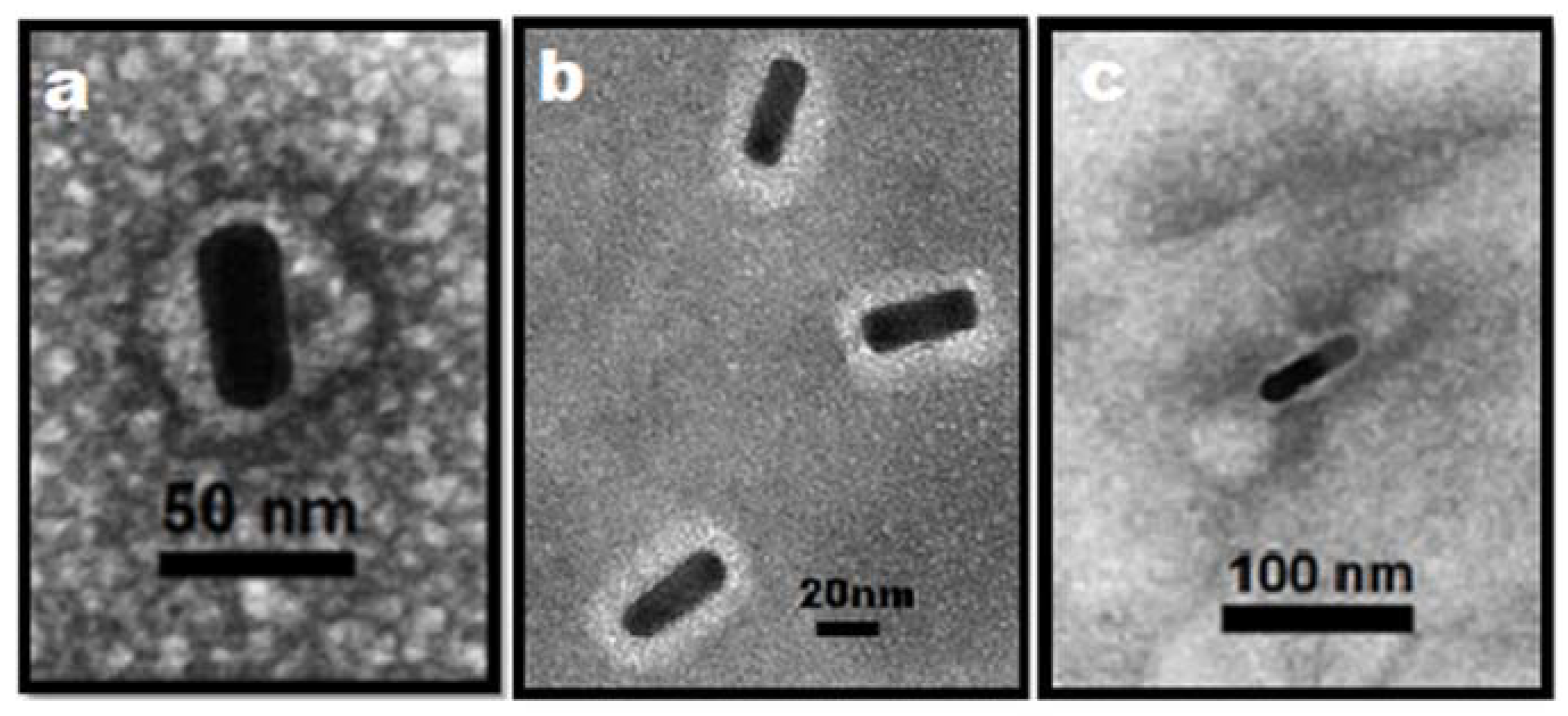 Molecules 25 02628 g008