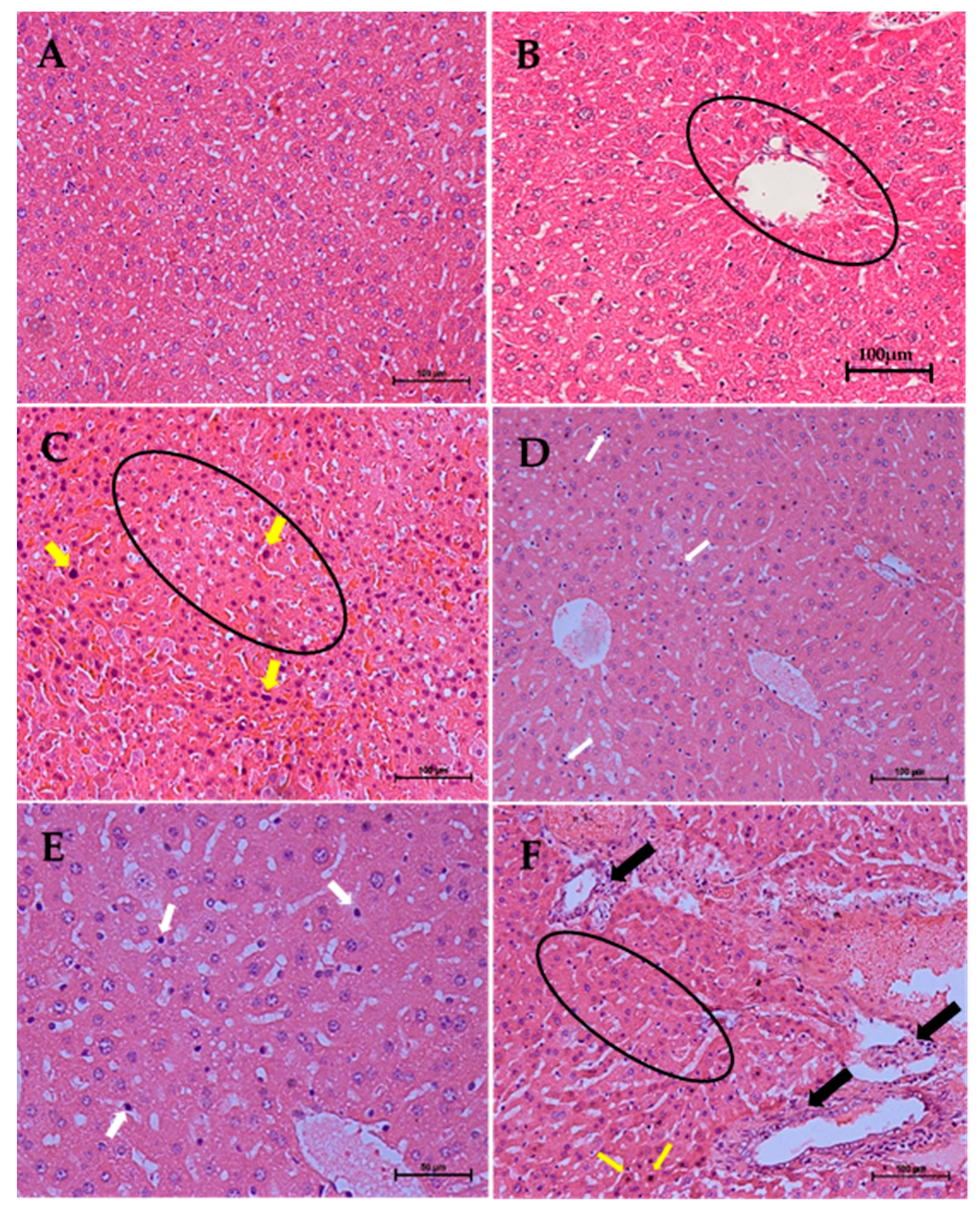 Molecules 25 02631 g012 Molecules 25 02631 g012
