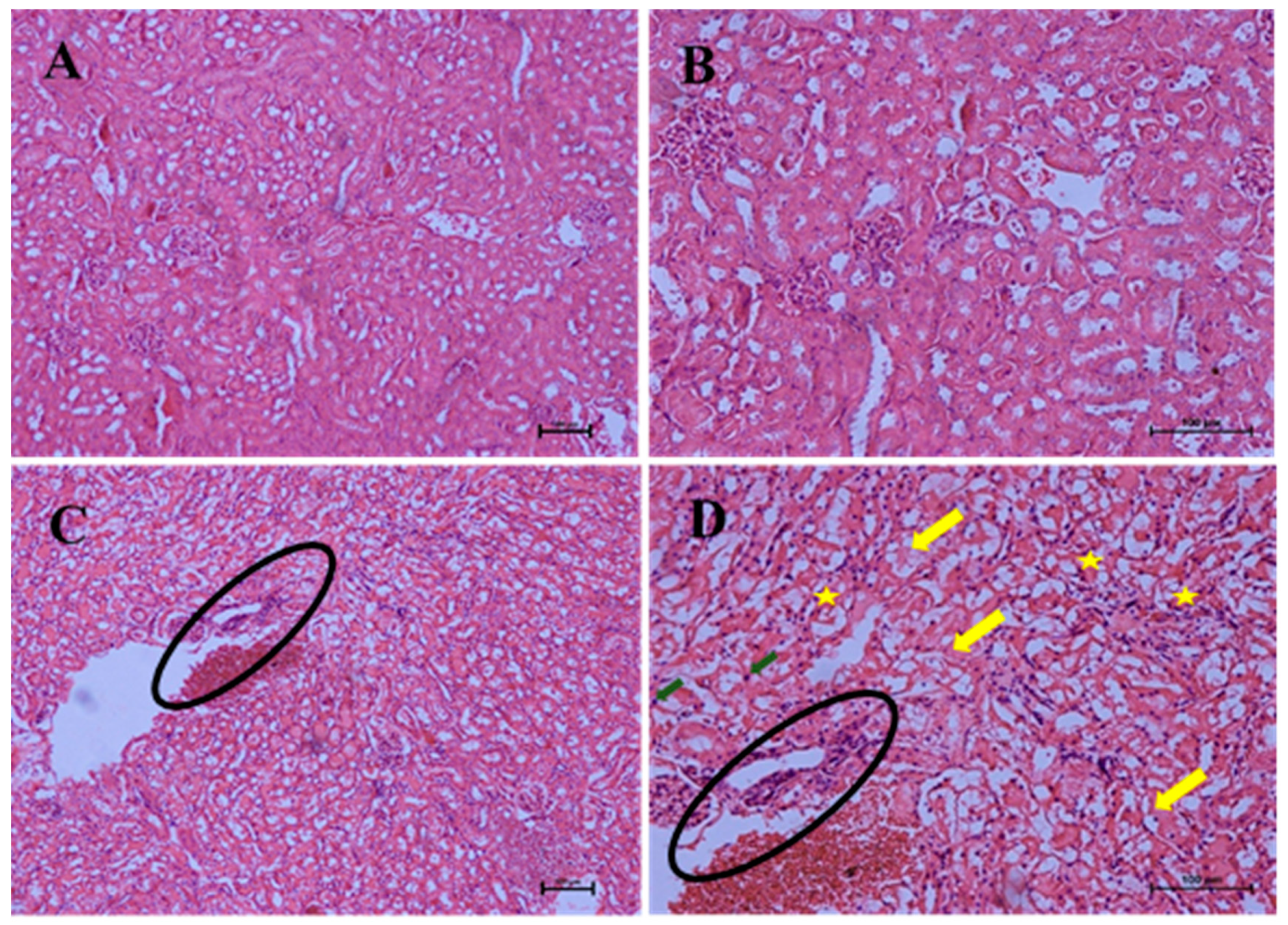 Molecules 25 02631 g013 Molecules 25 02631 g013