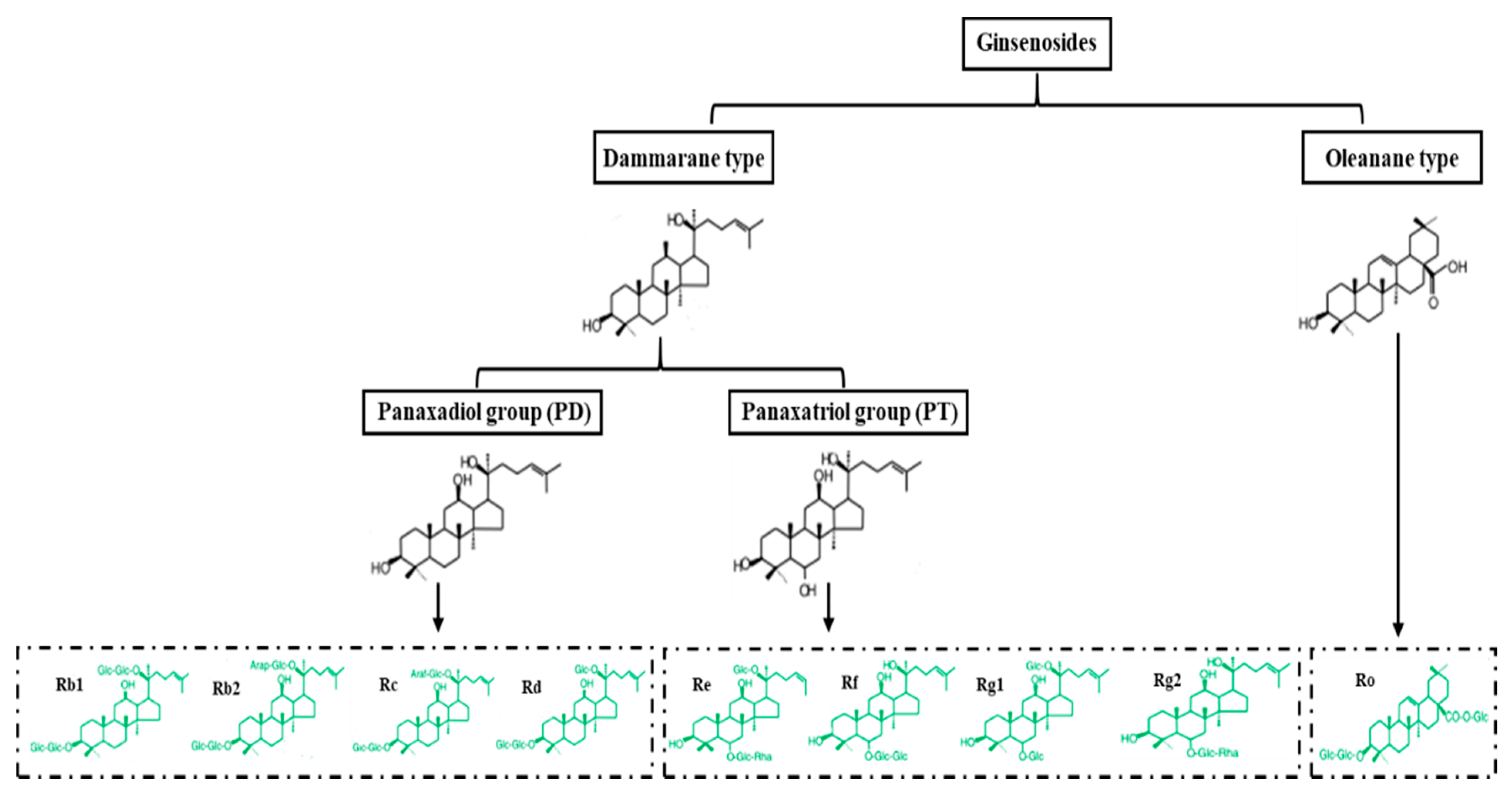 Molecules 25 02635 g001