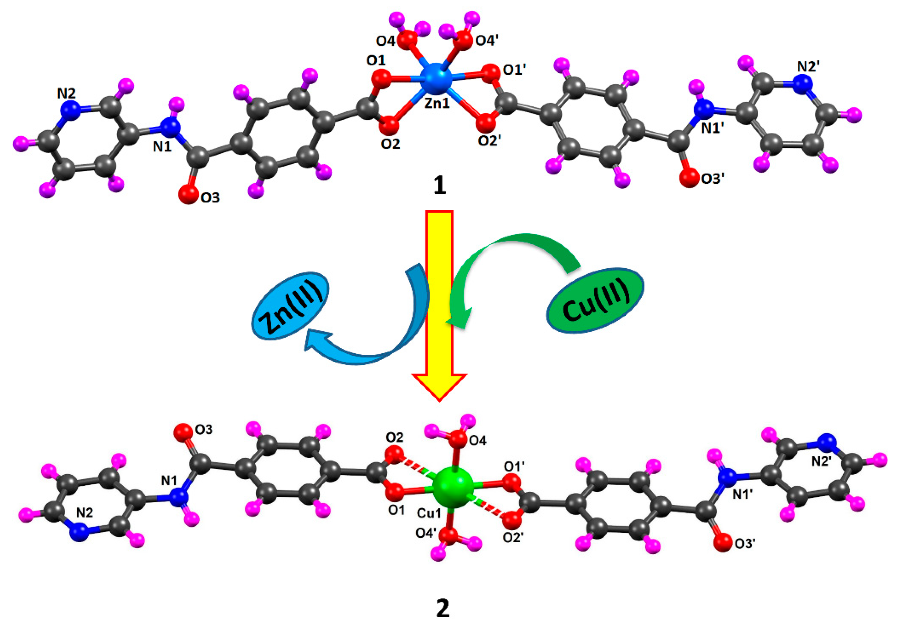 Molecules 25 02644 g002