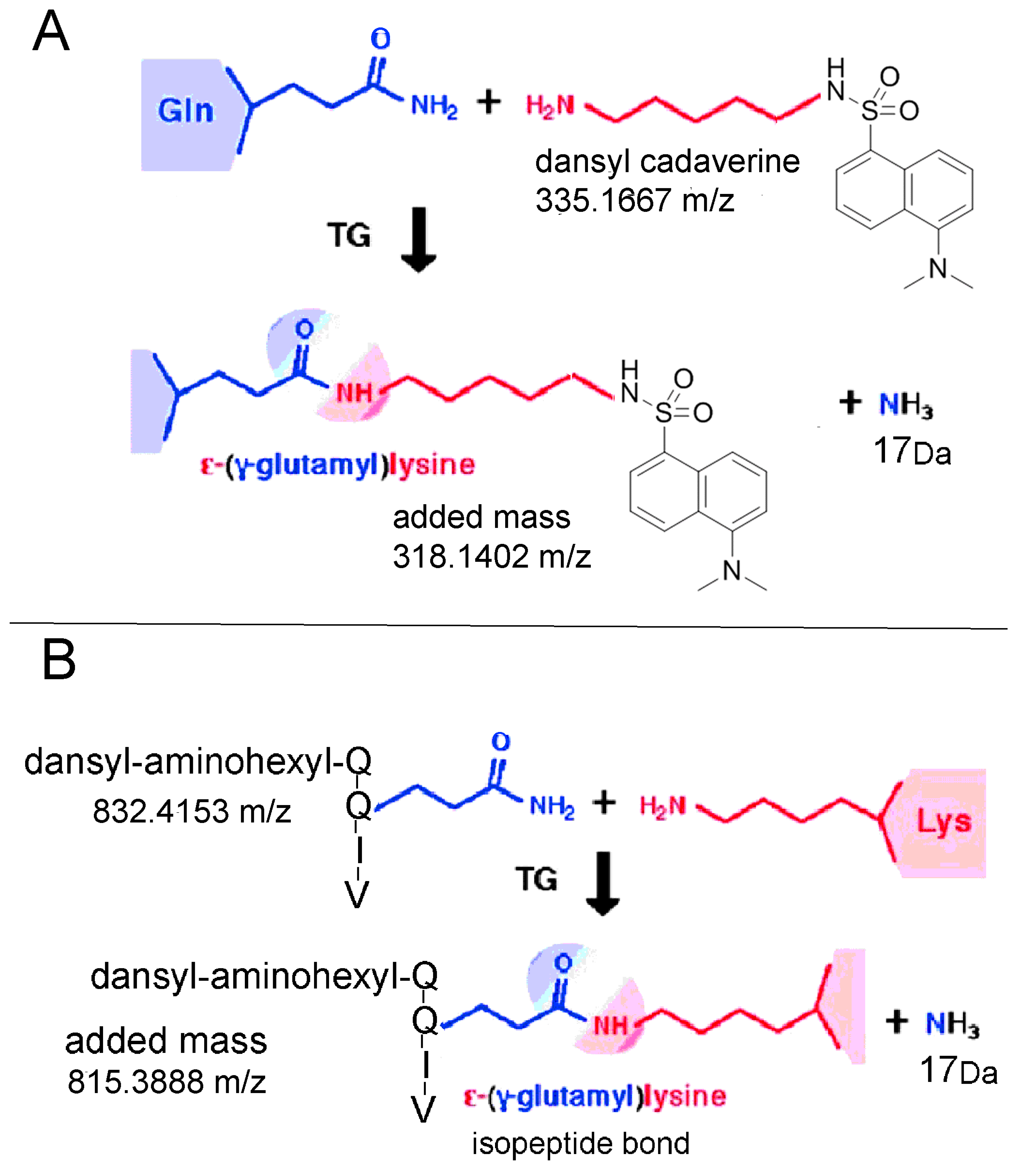 Molecules 25 02659 g001